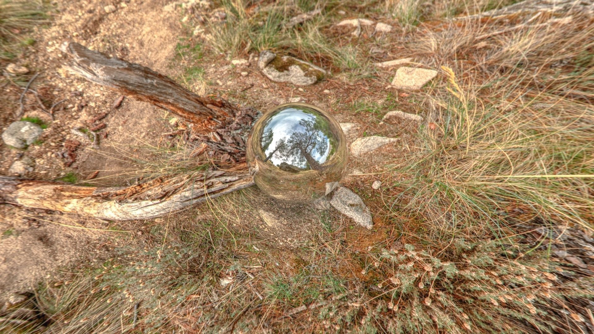 HDR 024 Low-poly 3D model_7