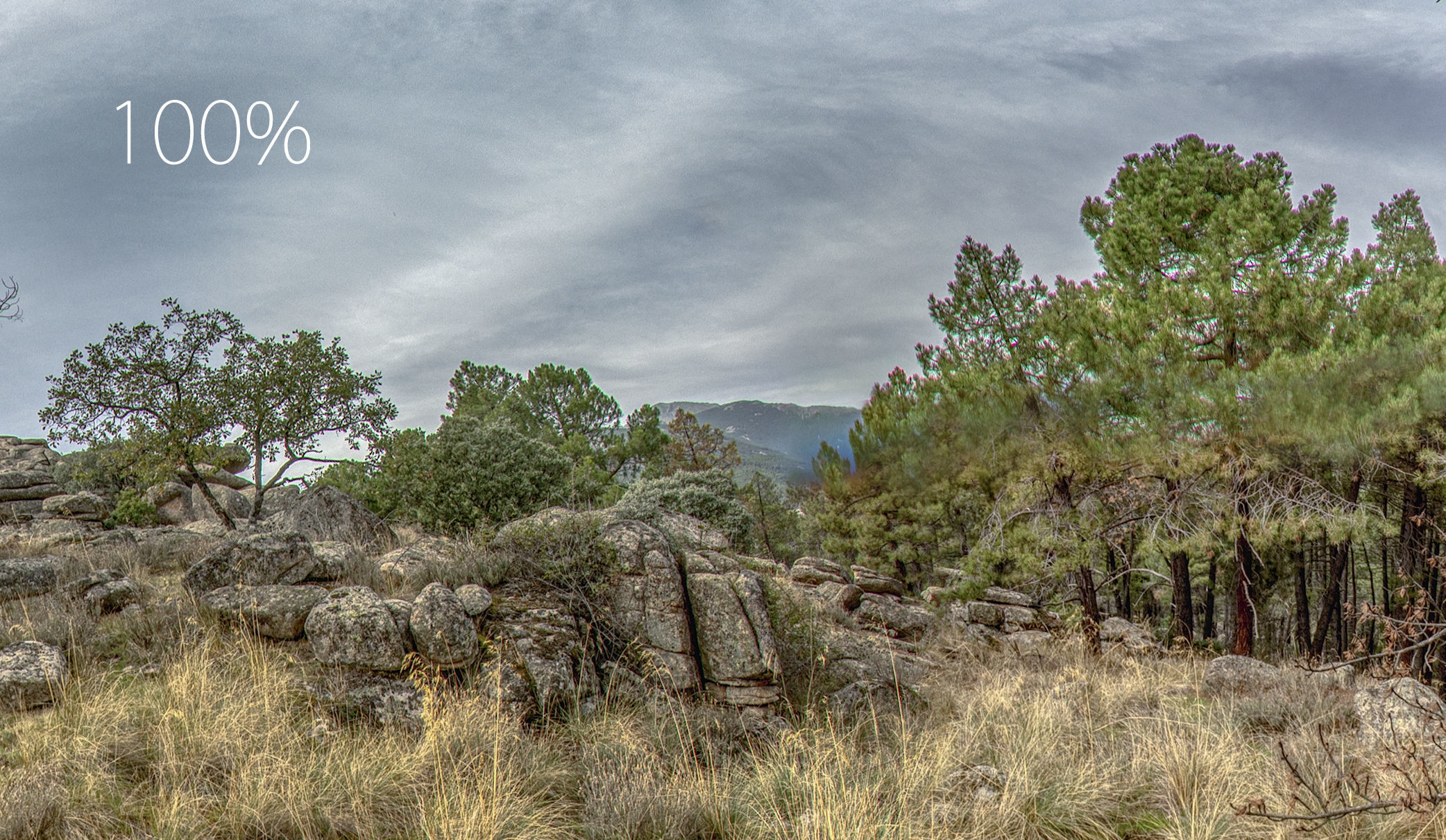 HDR 024 Low-poly 3D model_2