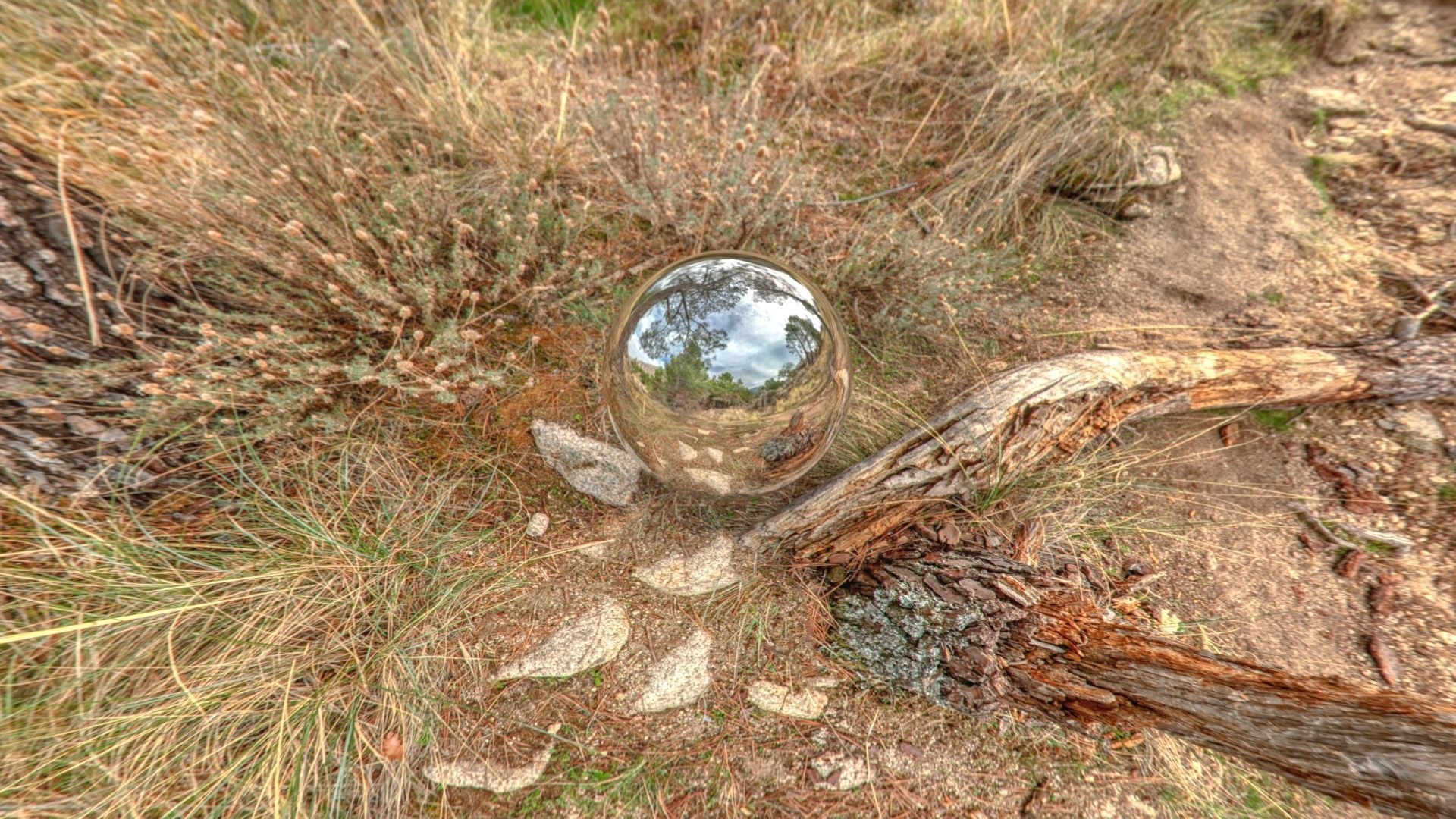 HDR 024 Low-poly 3D model_6