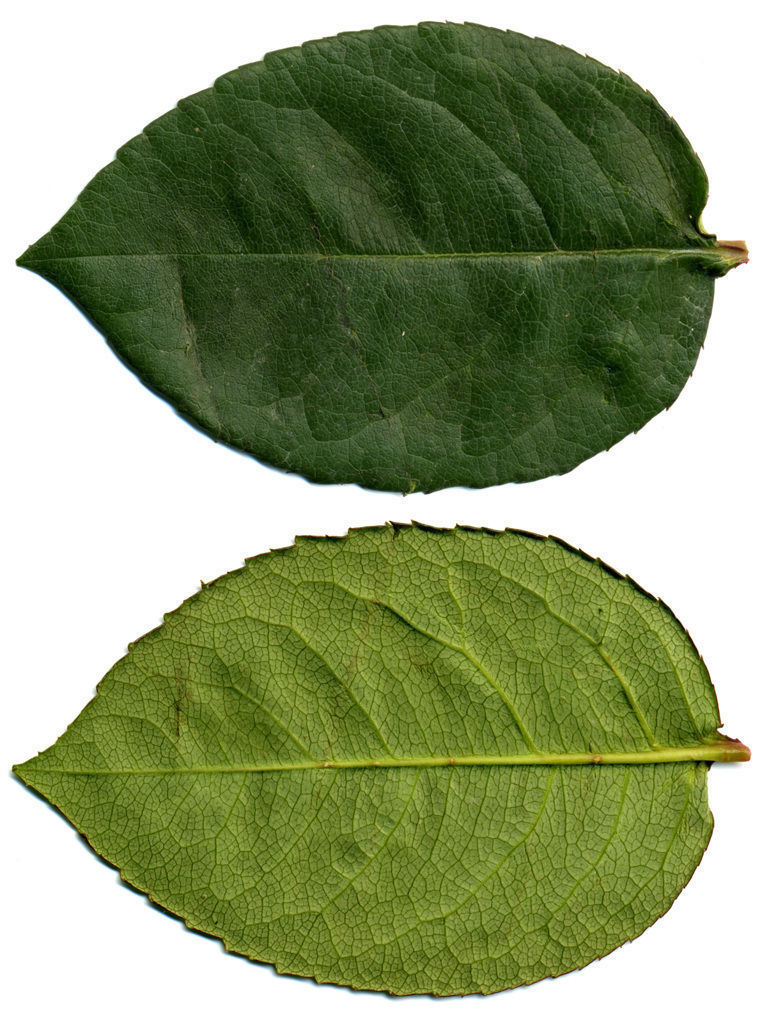 TINY HOUSE DESIGN 3D print model_8