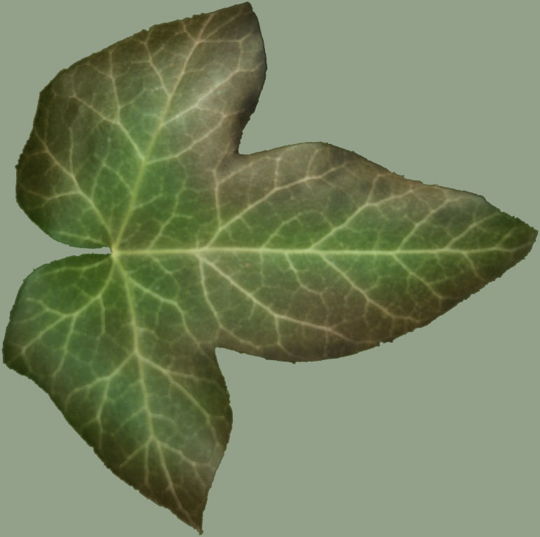 TINY HOUSE DESIGN 3D print model_18