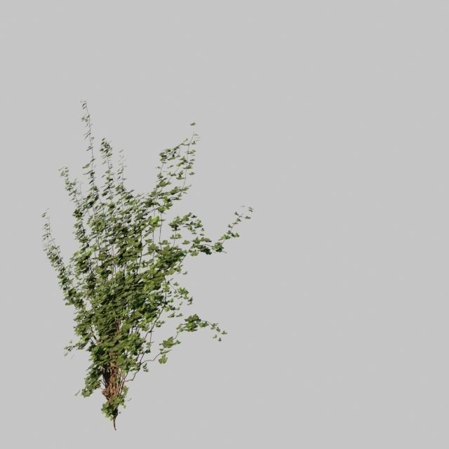 TINY HOUSE DESIGN 3D print model_53