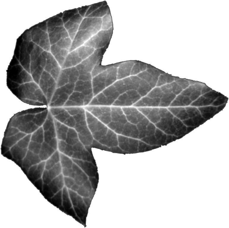 TINY HOUSE DESIGN 3D print model_20