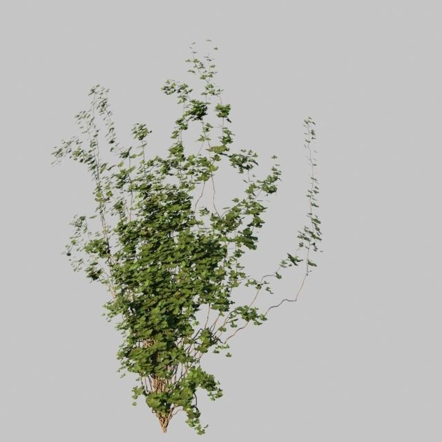 TINY HOUSE DESIGN 3D print model_49