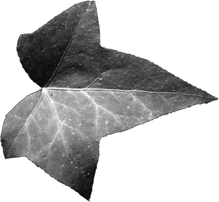 TINY HOUSE DESIGN 3D print model_14