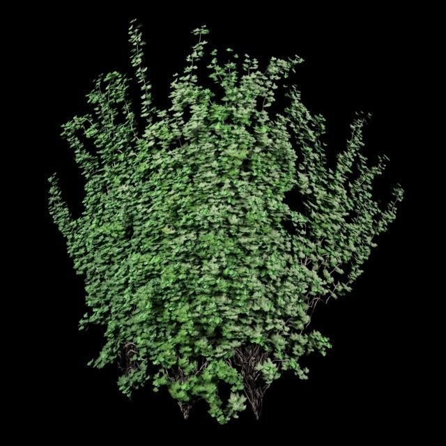 TINY HOUSE DESIGN 3D print model_51