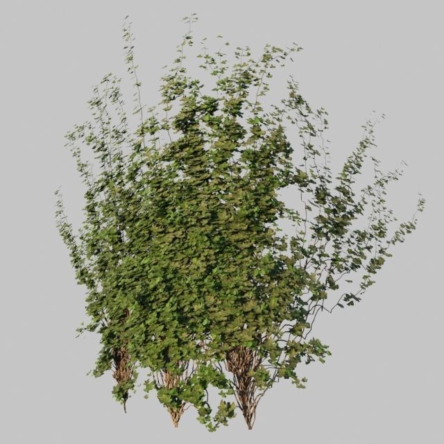 TINY HOUSE DESIGN 3D print model_50