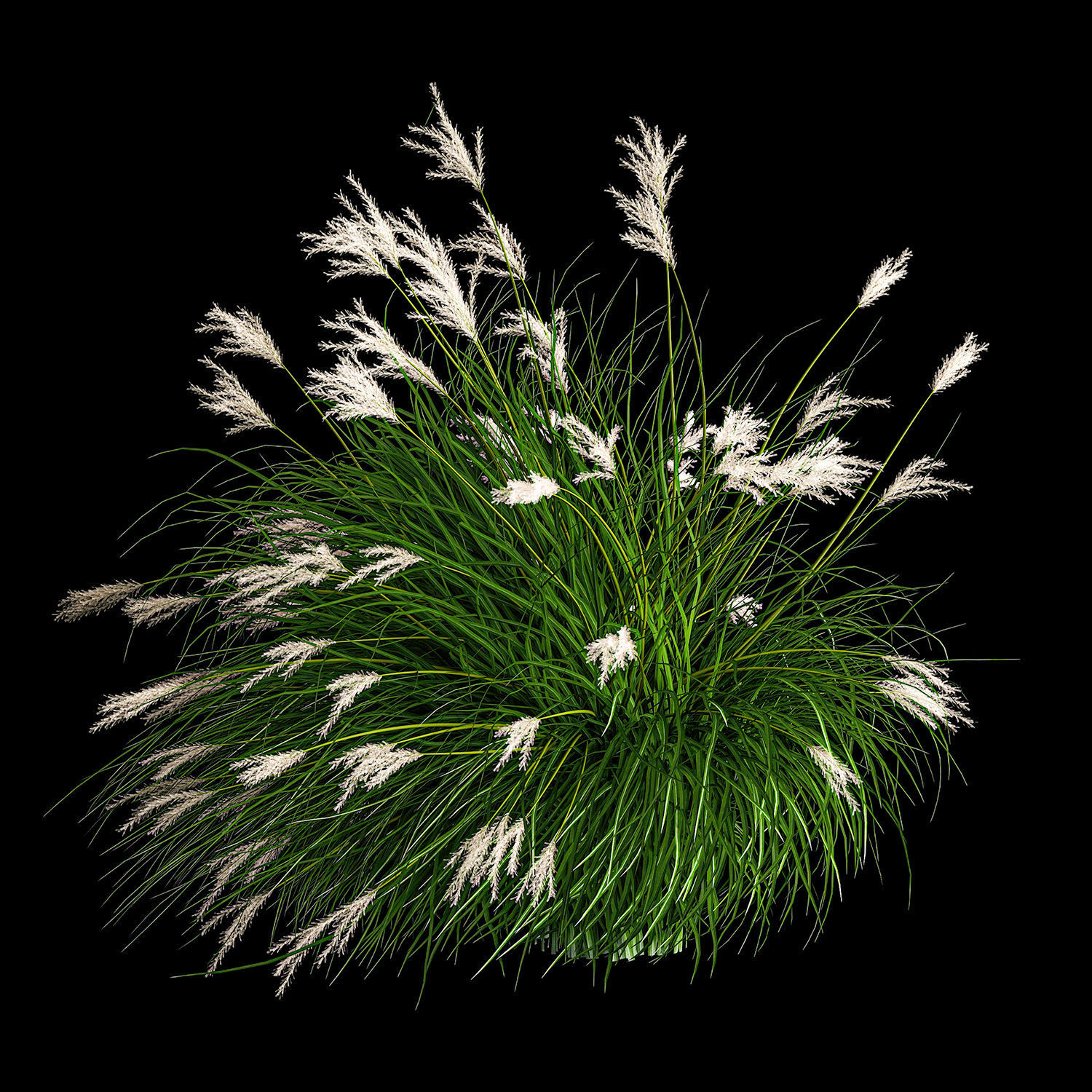 Ornamental Bushes For Landscape Design 1131 3D model_3