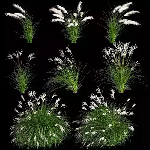 Ornamental Bushes For Landscape Design 1131 3D model