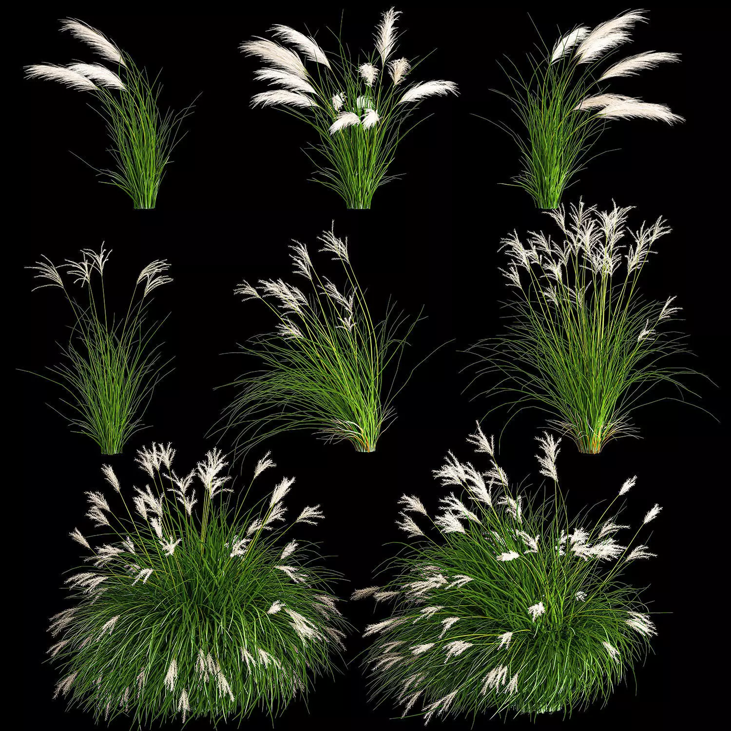 Ornamental Bushes For Landscape Design 1131 3D model_0