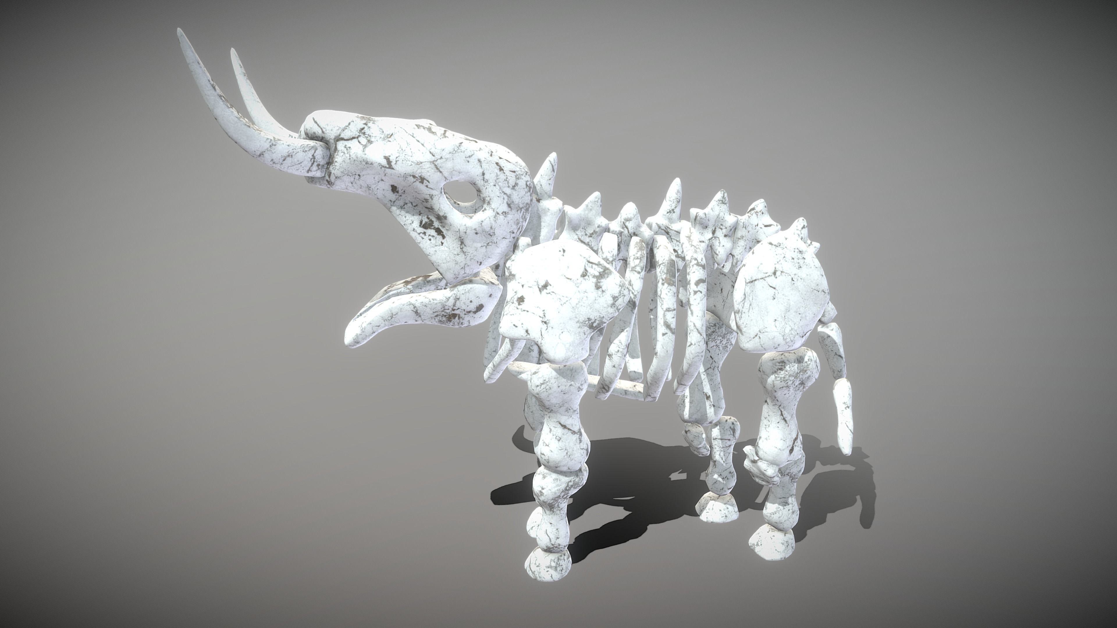 Elephant Skeleton Low-poly 3D model_9