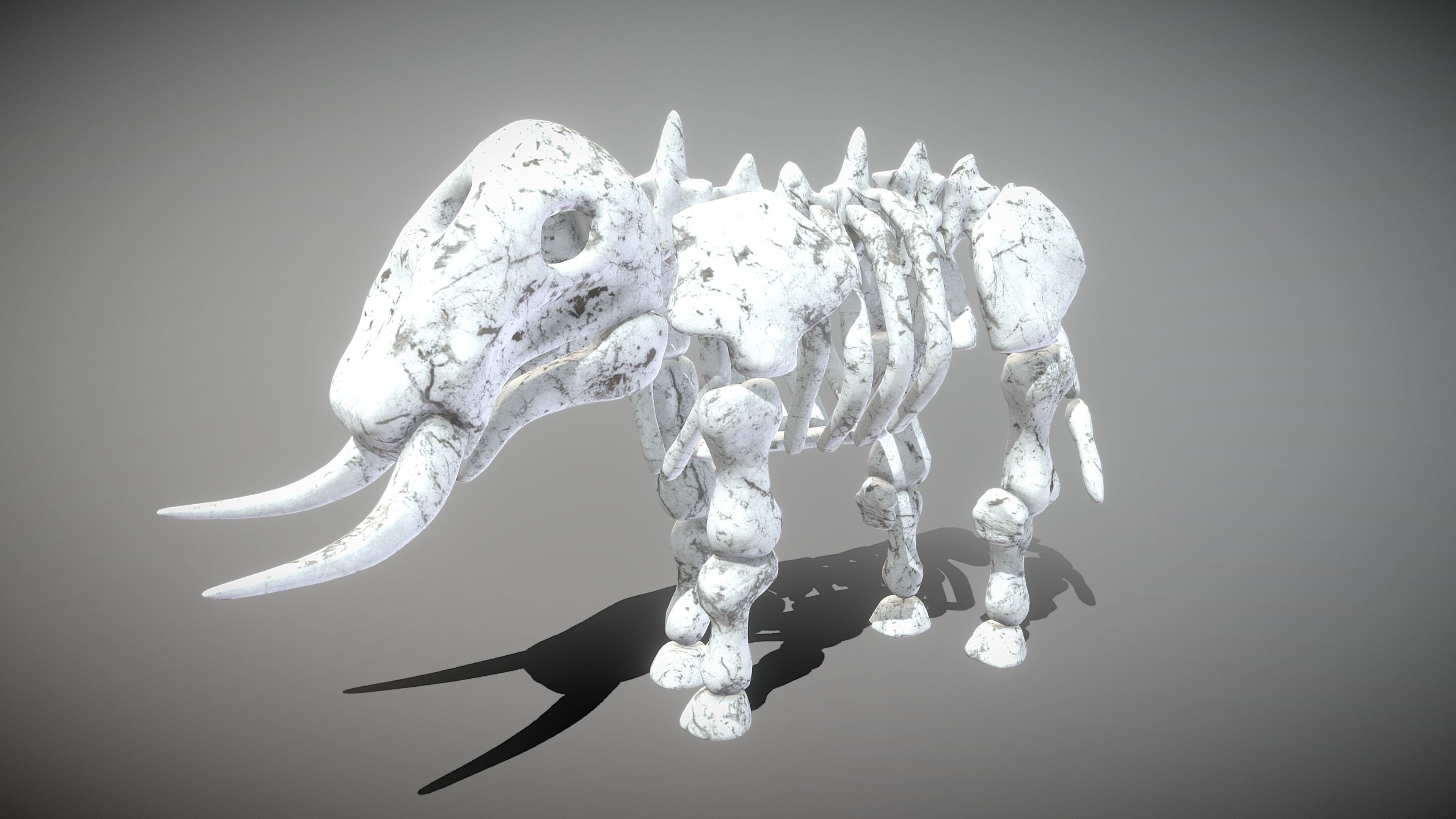 Elephant Skeleton Low-poly 3D model_8