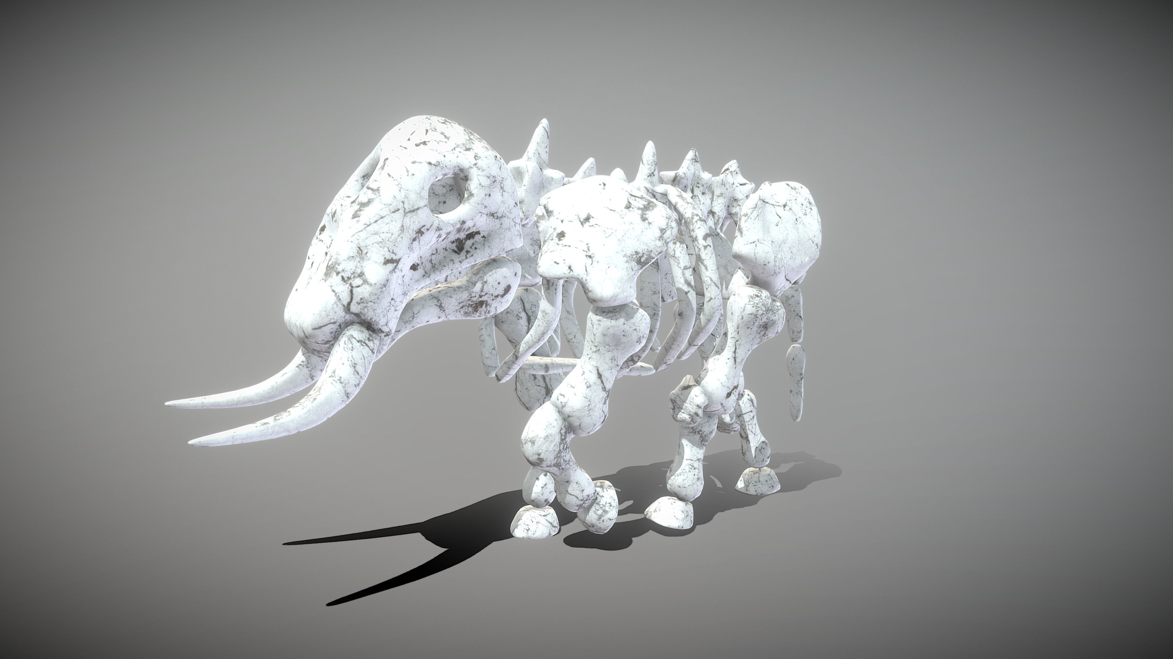Elephant Skeleton Low-poly 3D model_7