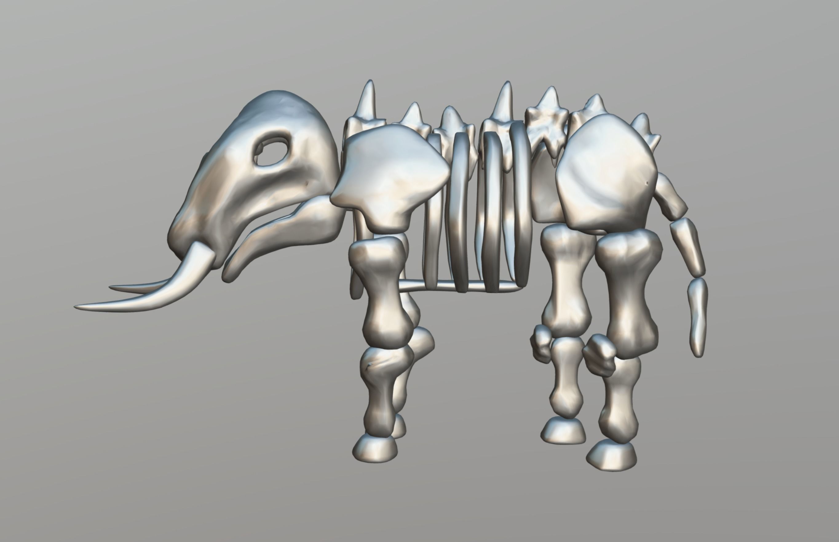 Elephant Skeleton Low-poly 3D model_12