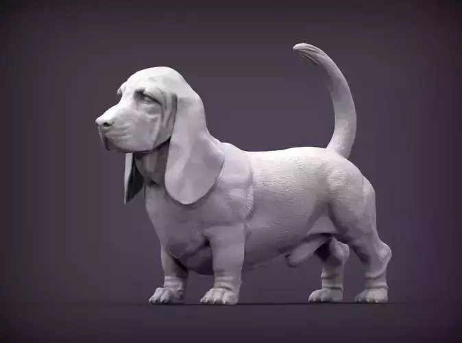 basset hound 3D print model