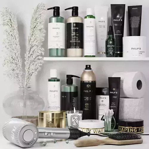  bathroom accessories 01 - Philip B