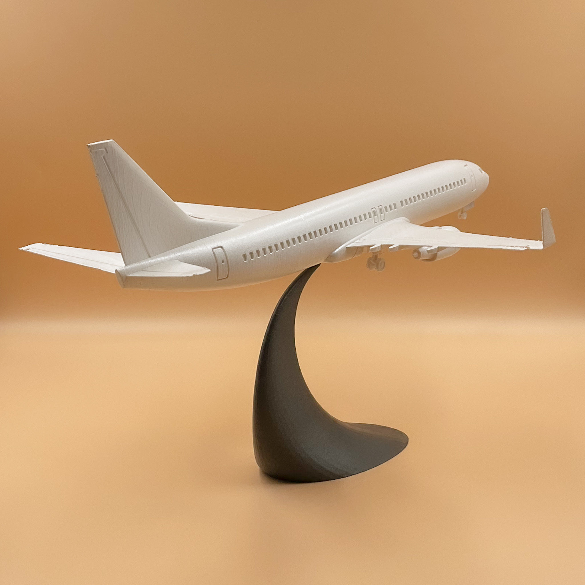 Airplane Boeing 737 - 800   3D print model_8