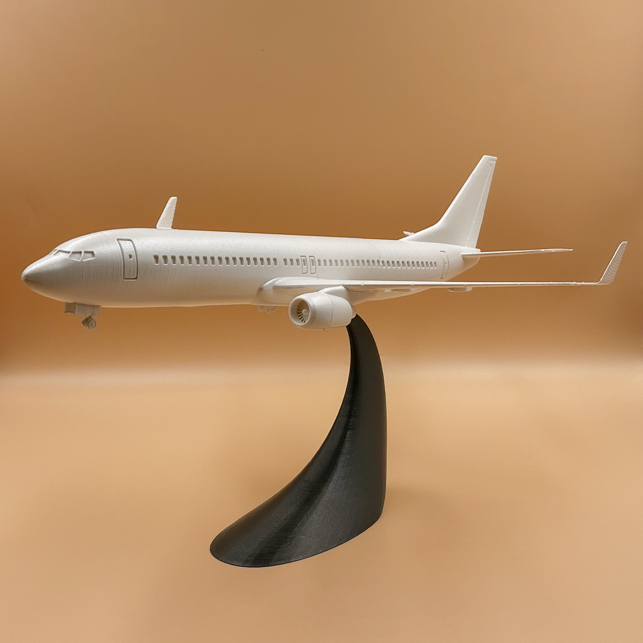 Airplane Boeing 737 - 800   3D print model_4