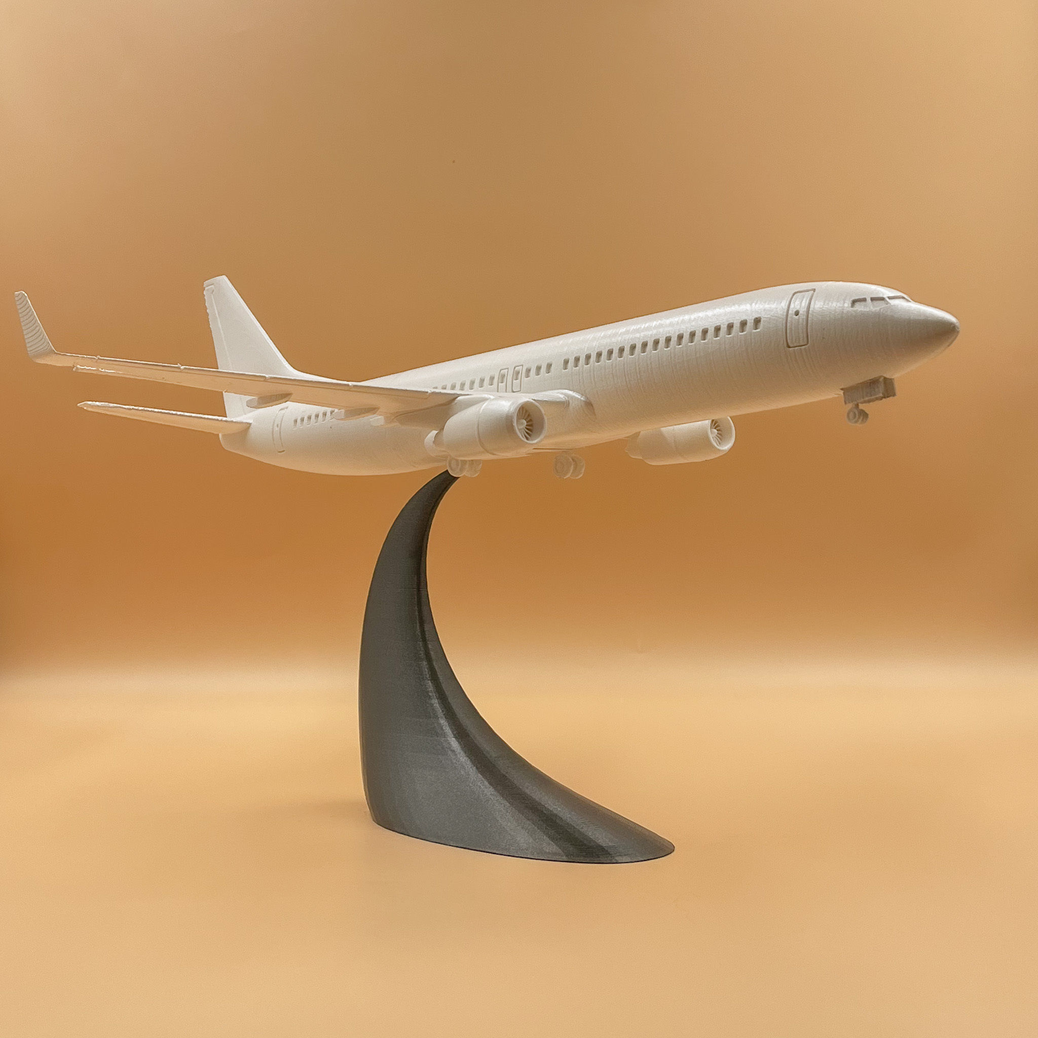 Airplane Boeing 737 - 800   3D print model_11