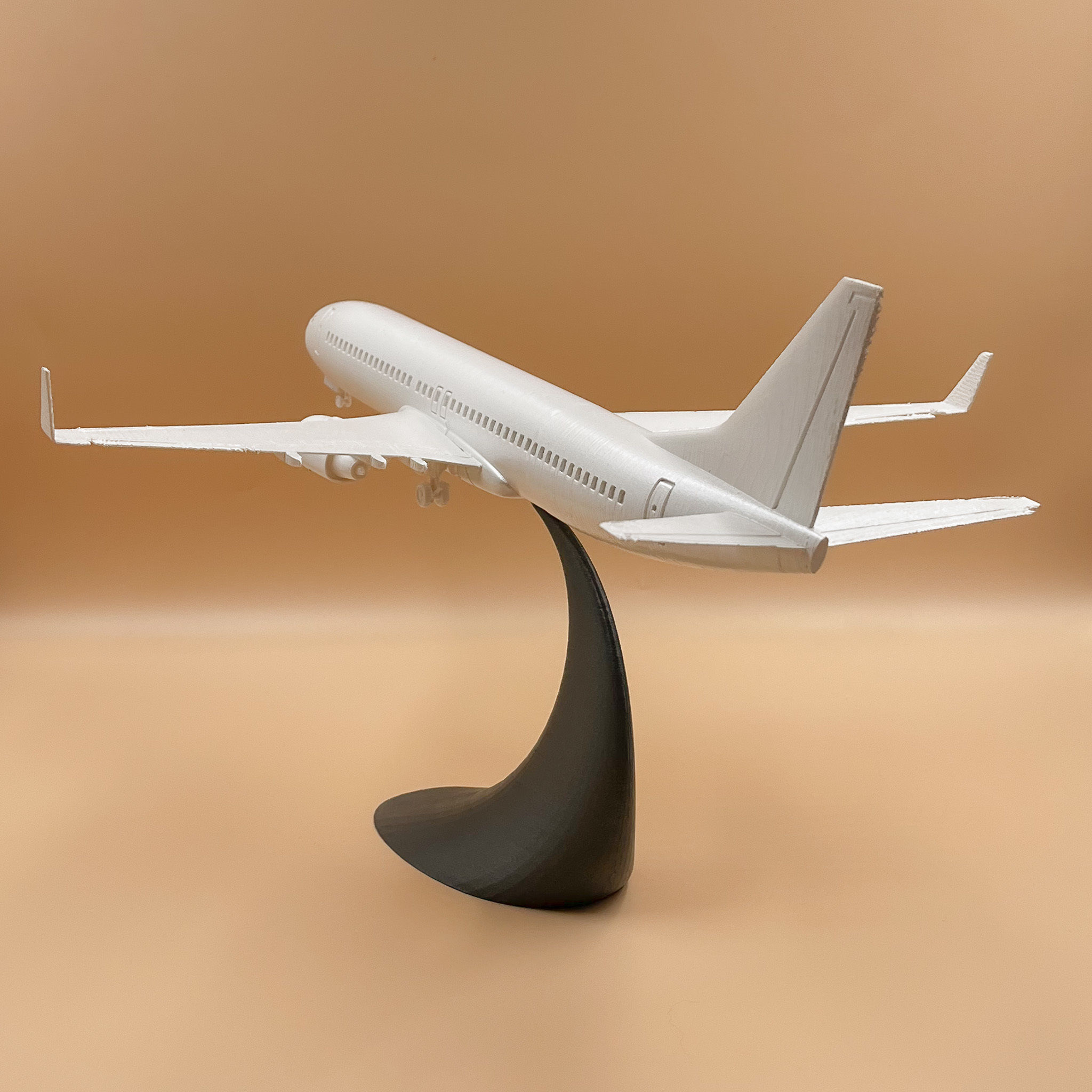 Airplane Boeing 737 - 800   3D print model_17