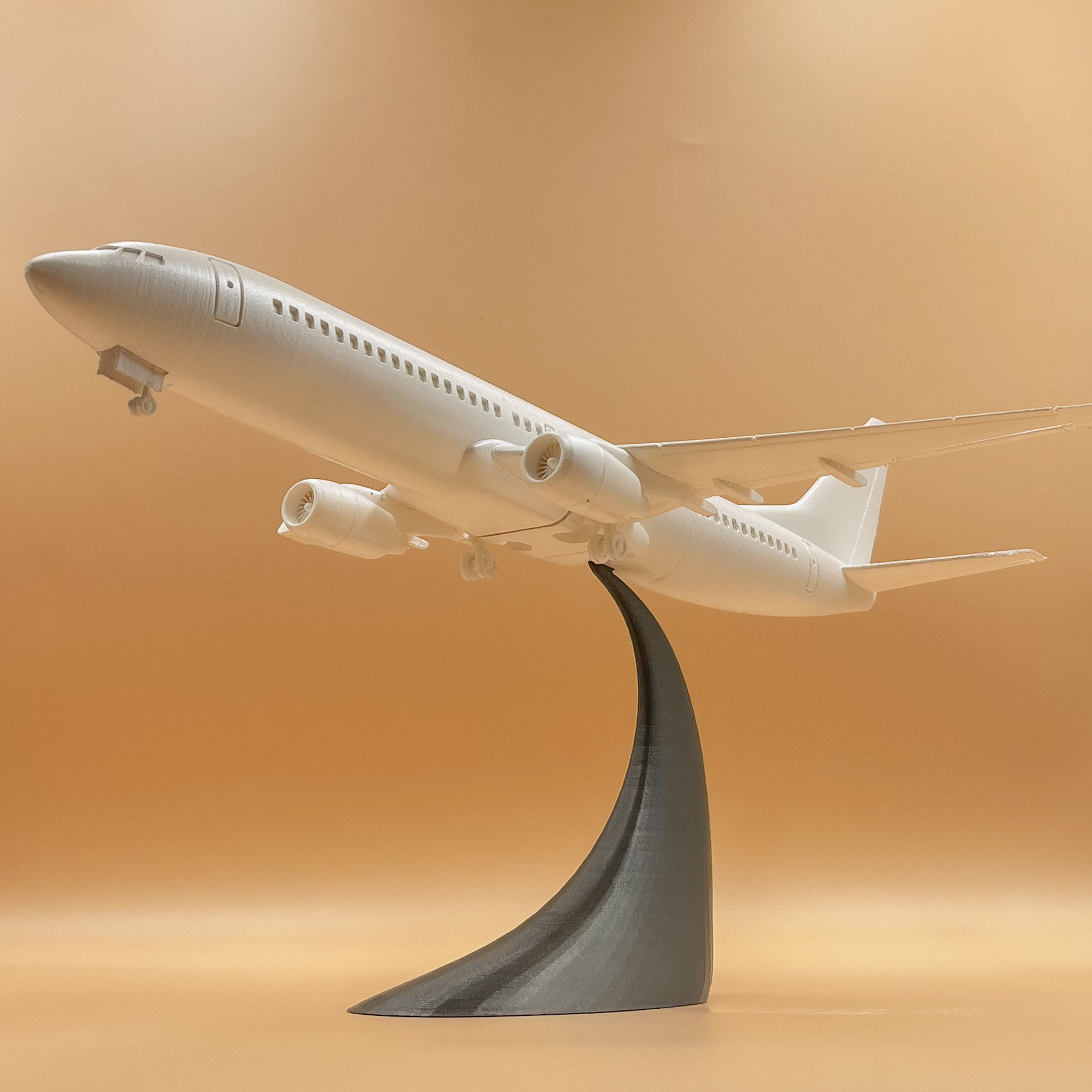Airplane Boeing 737 - 800   3D print model_5