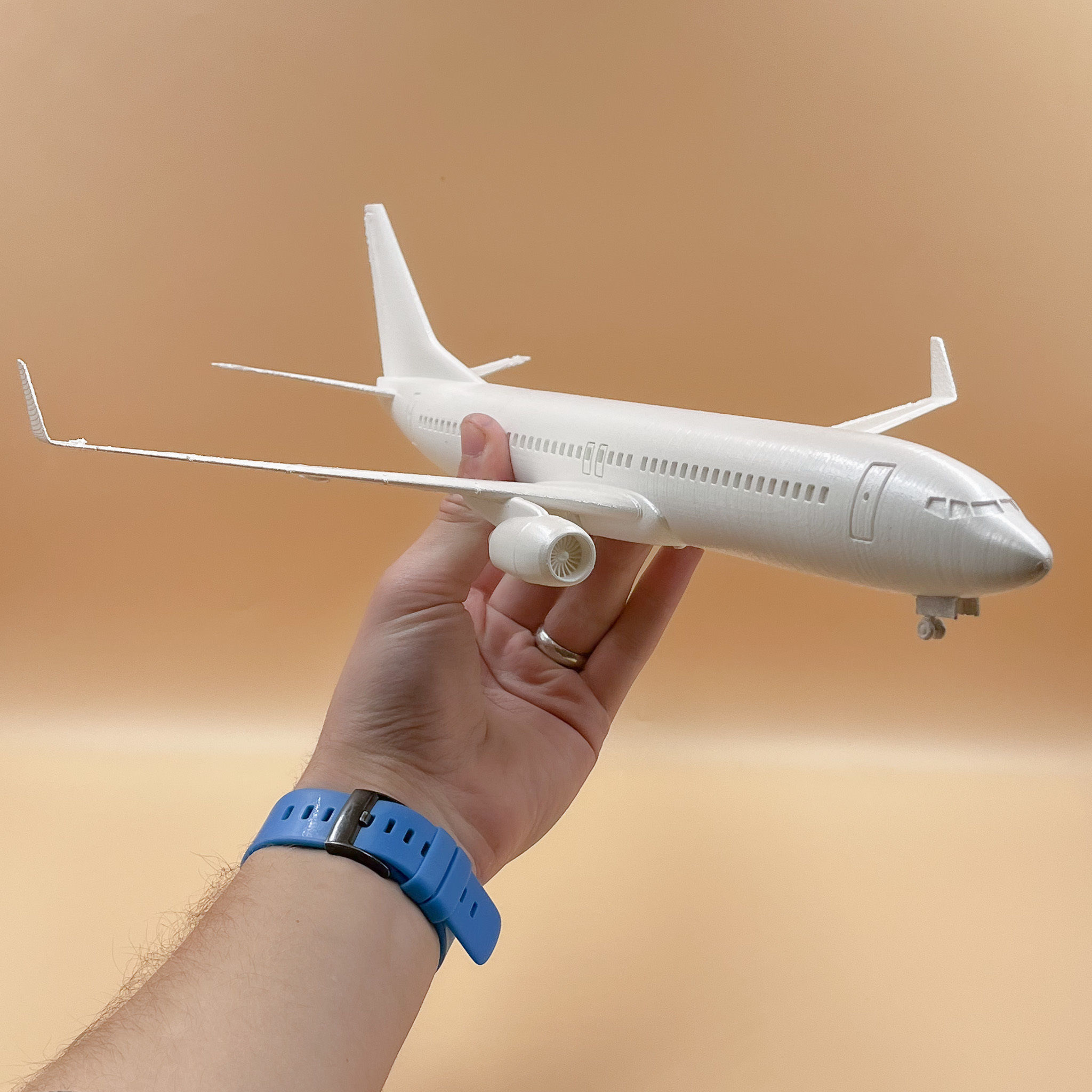 Airplane Boeing 737 - 800   3D print model_2