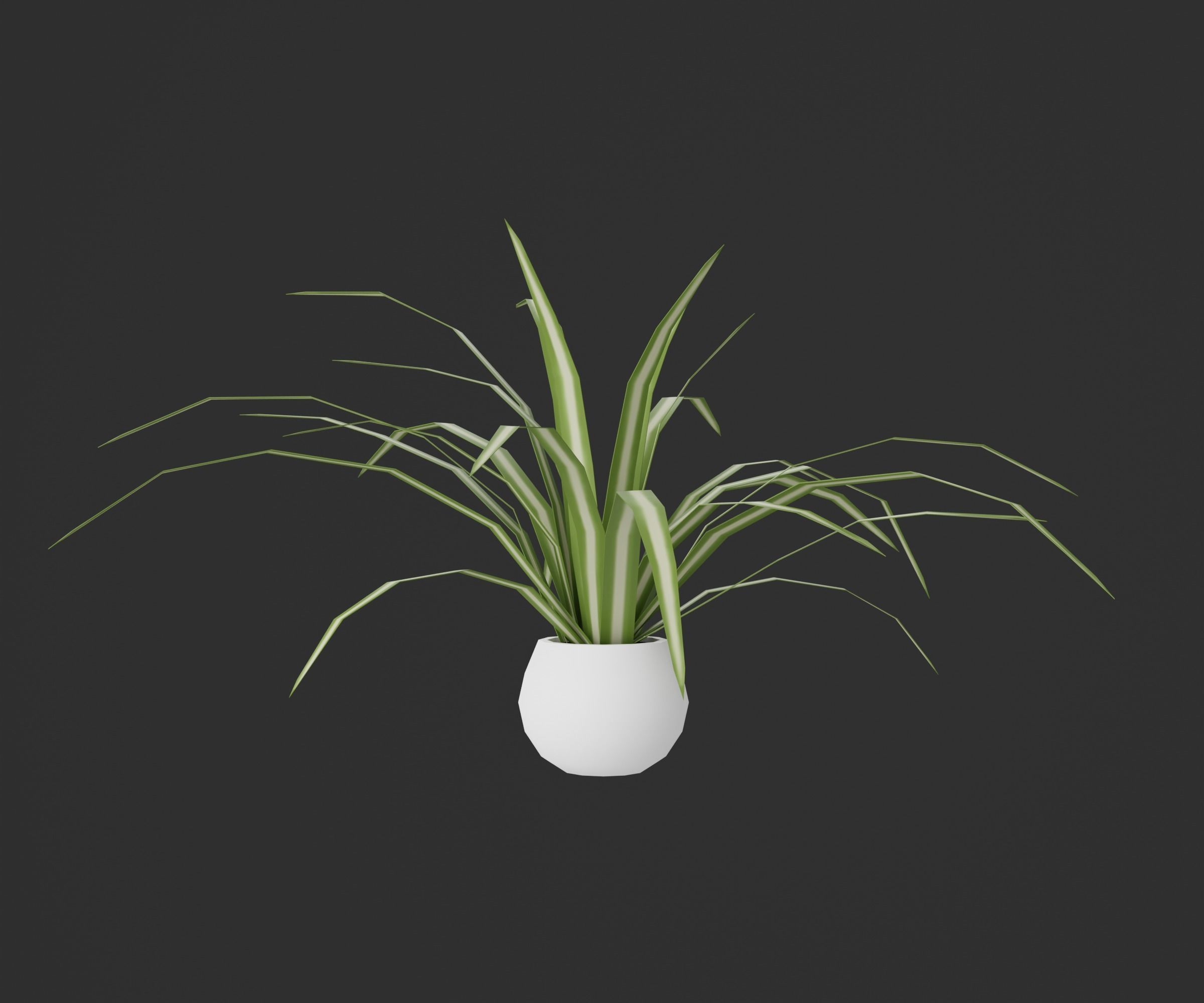 Indoor plants Low-poly 3D model_11