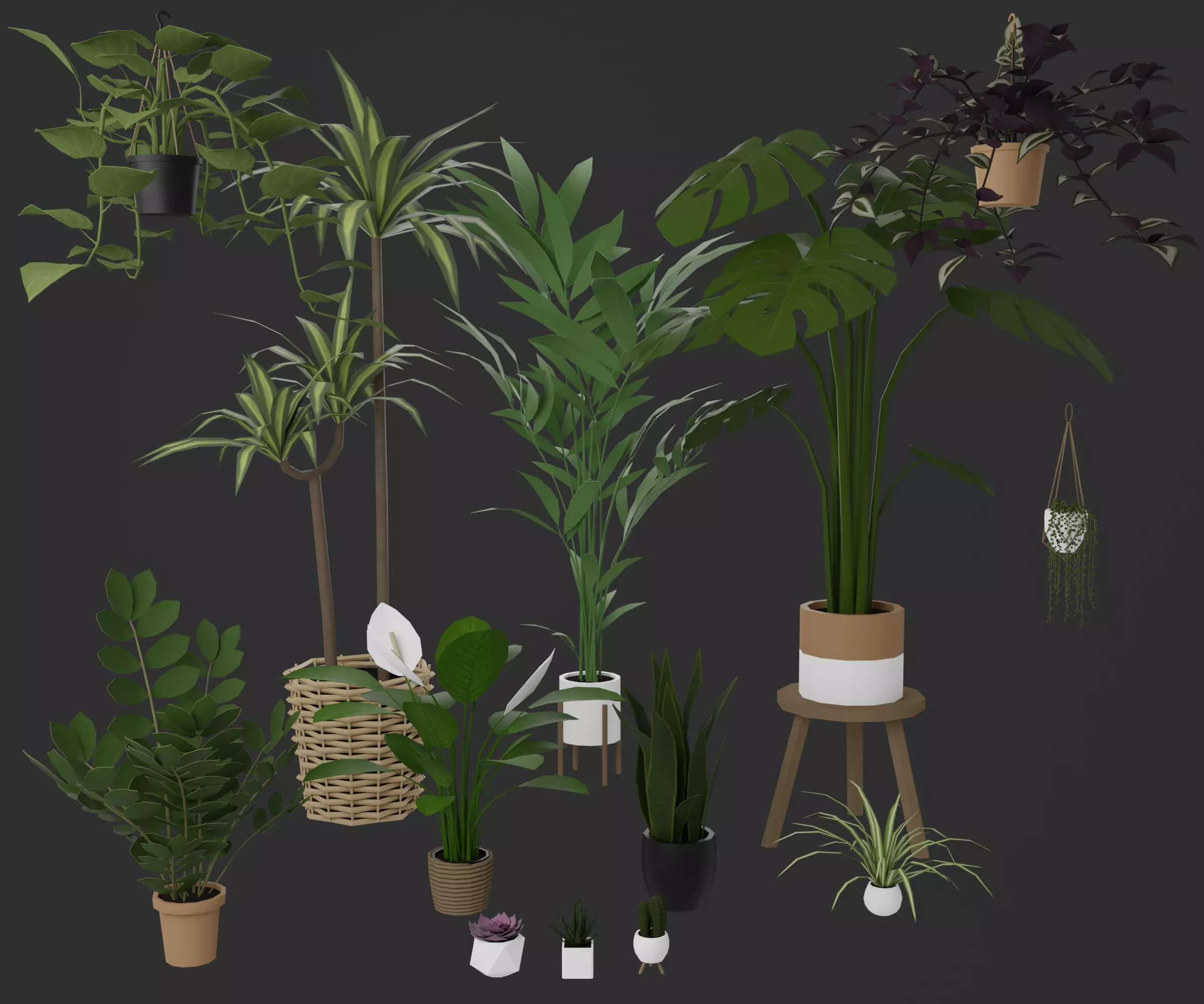 Indoor plants Low-poly 3D model_0