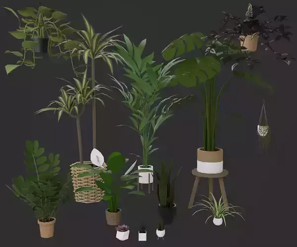 Indoor plants Low-poly 3D model