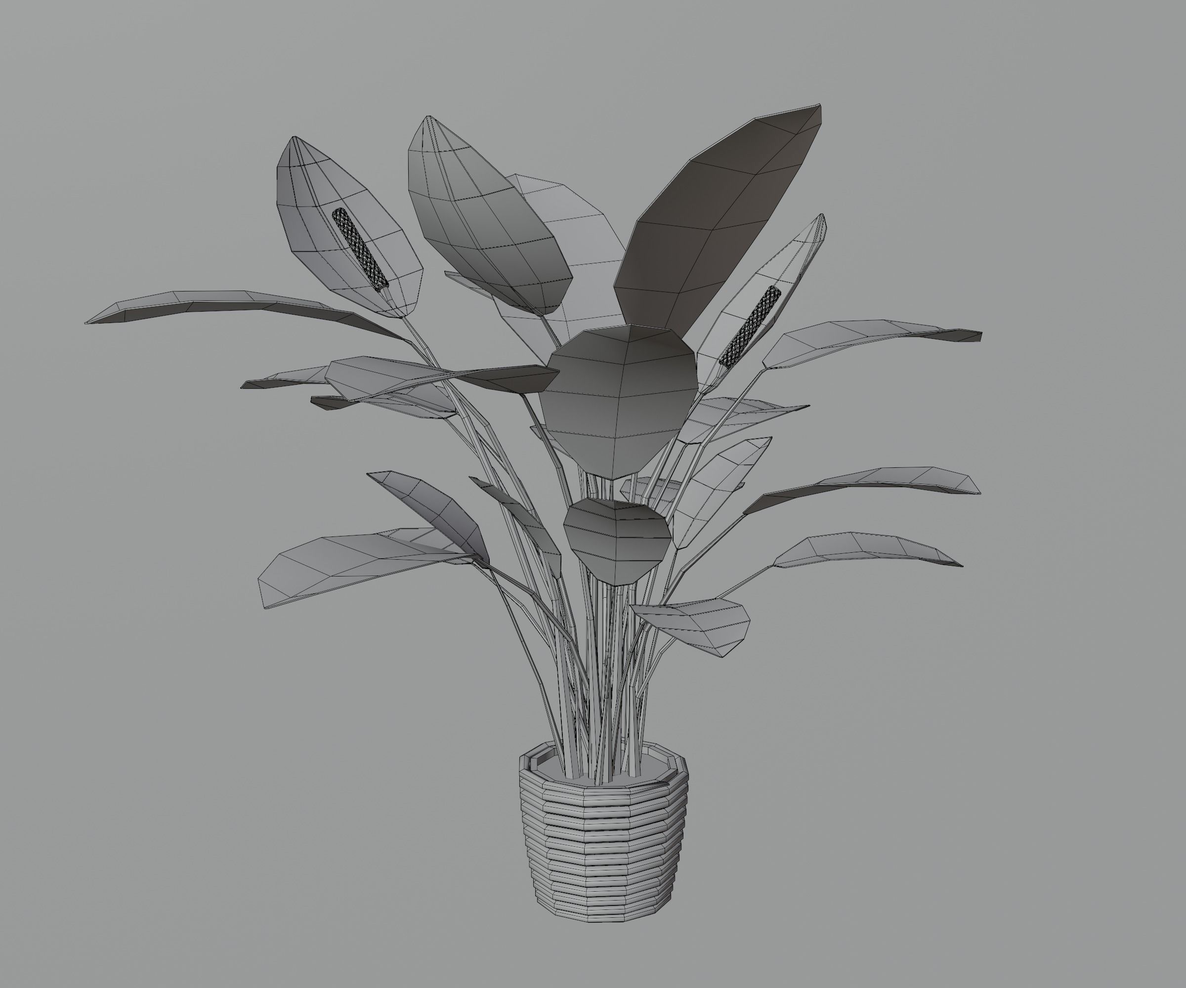Indoor plants Low-poly 3D model_19