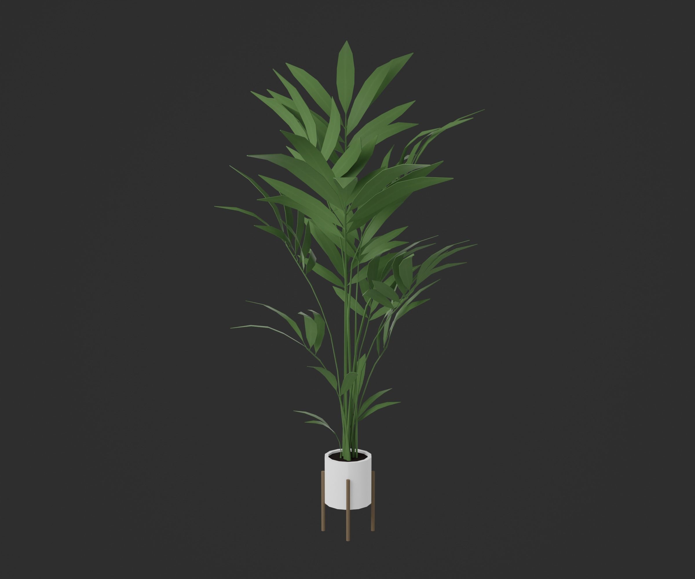 Indoor plants Low-poly 3D model_5