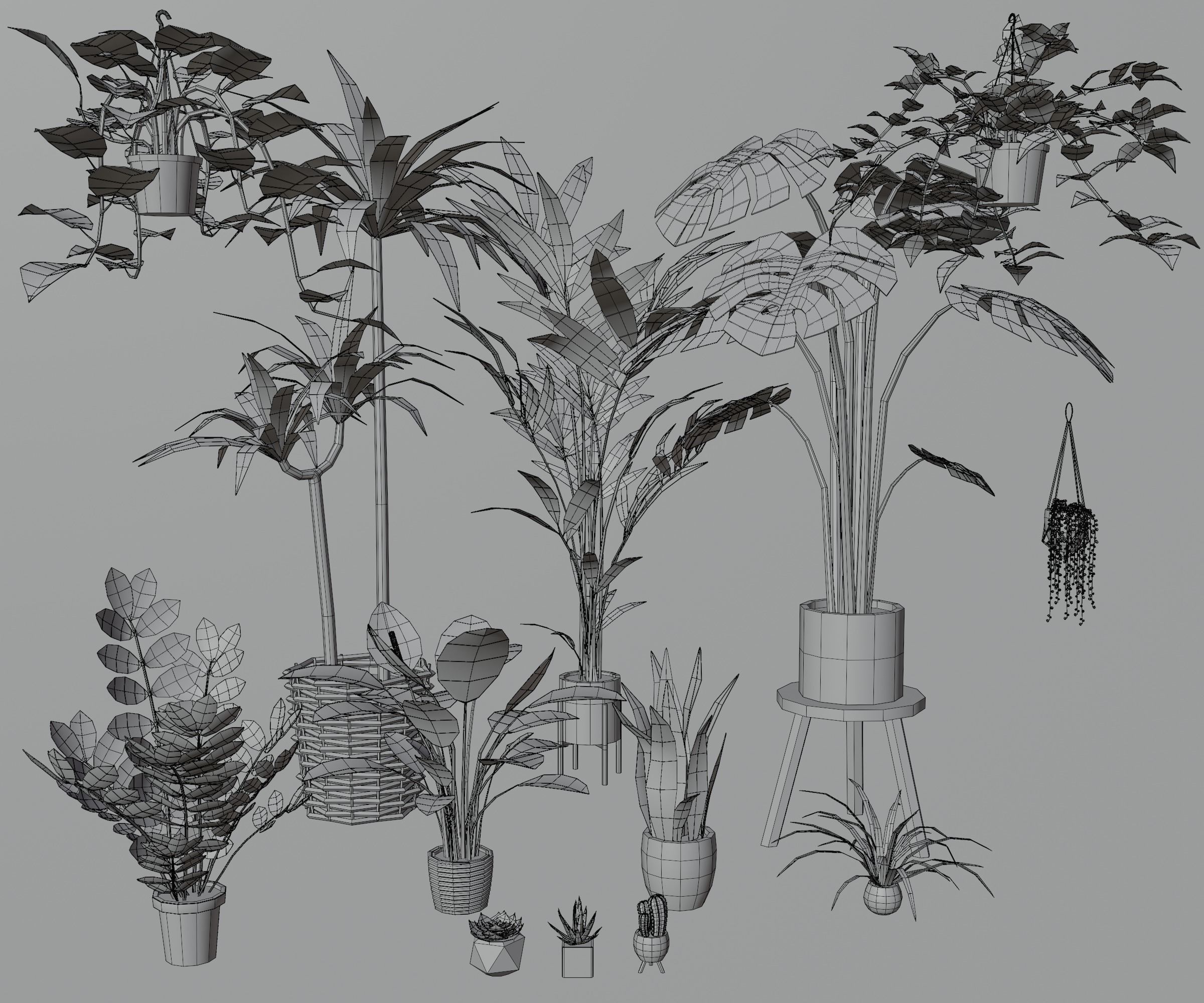 Indoor plants Low-poly 3D model_1