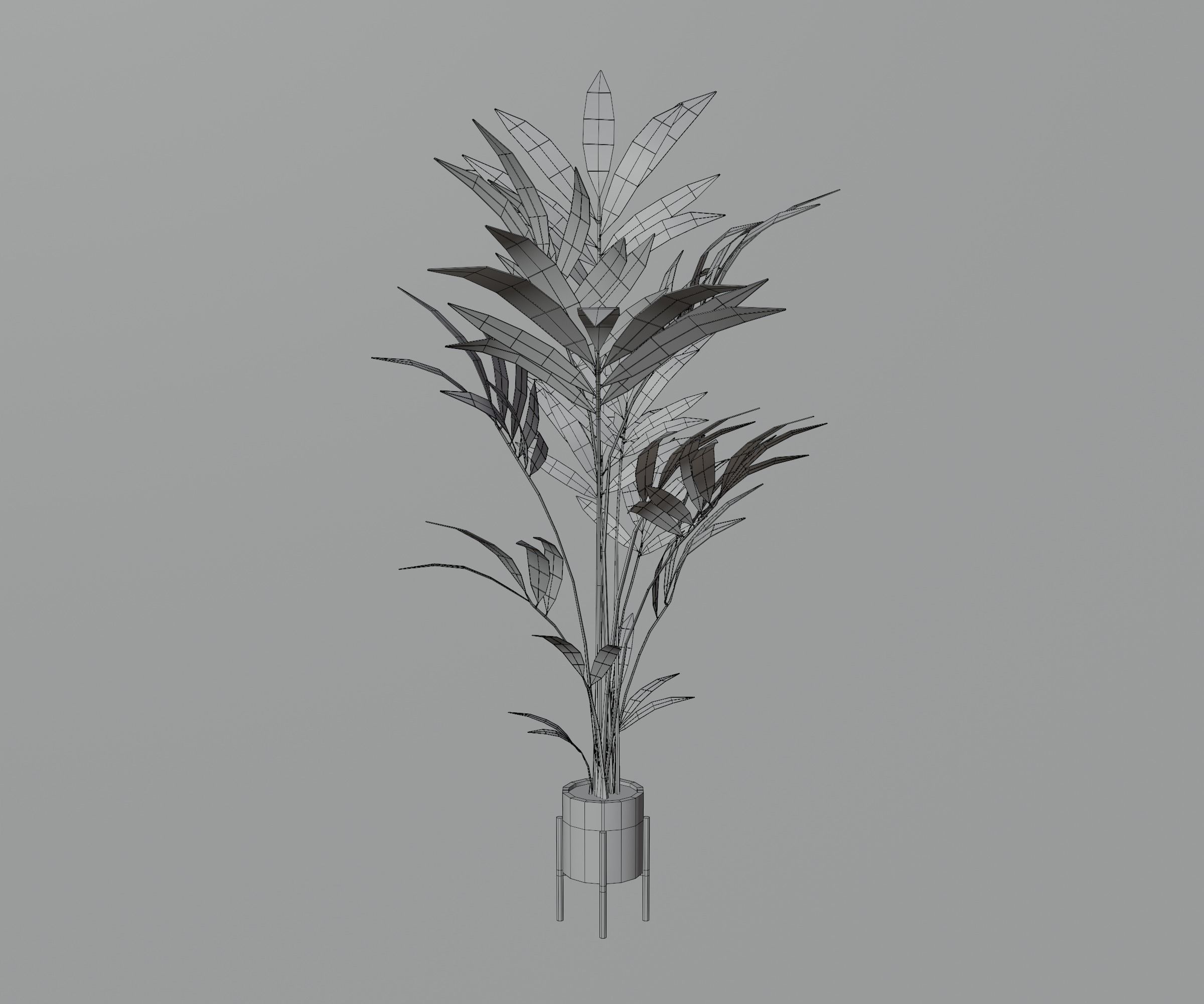 Indoor plants Low-poly 3D model_7