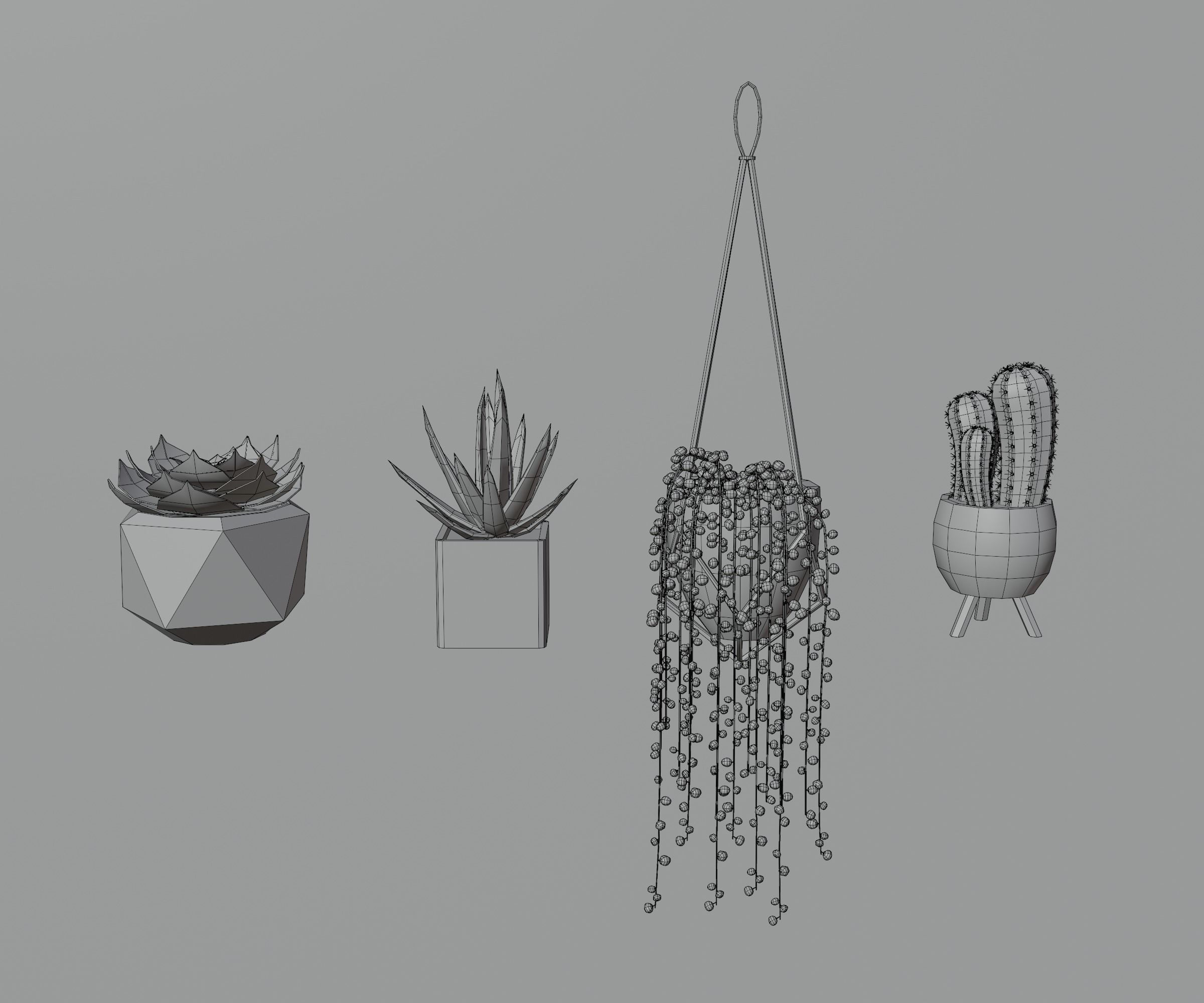 Indoor plants Low-poly 3D model_31