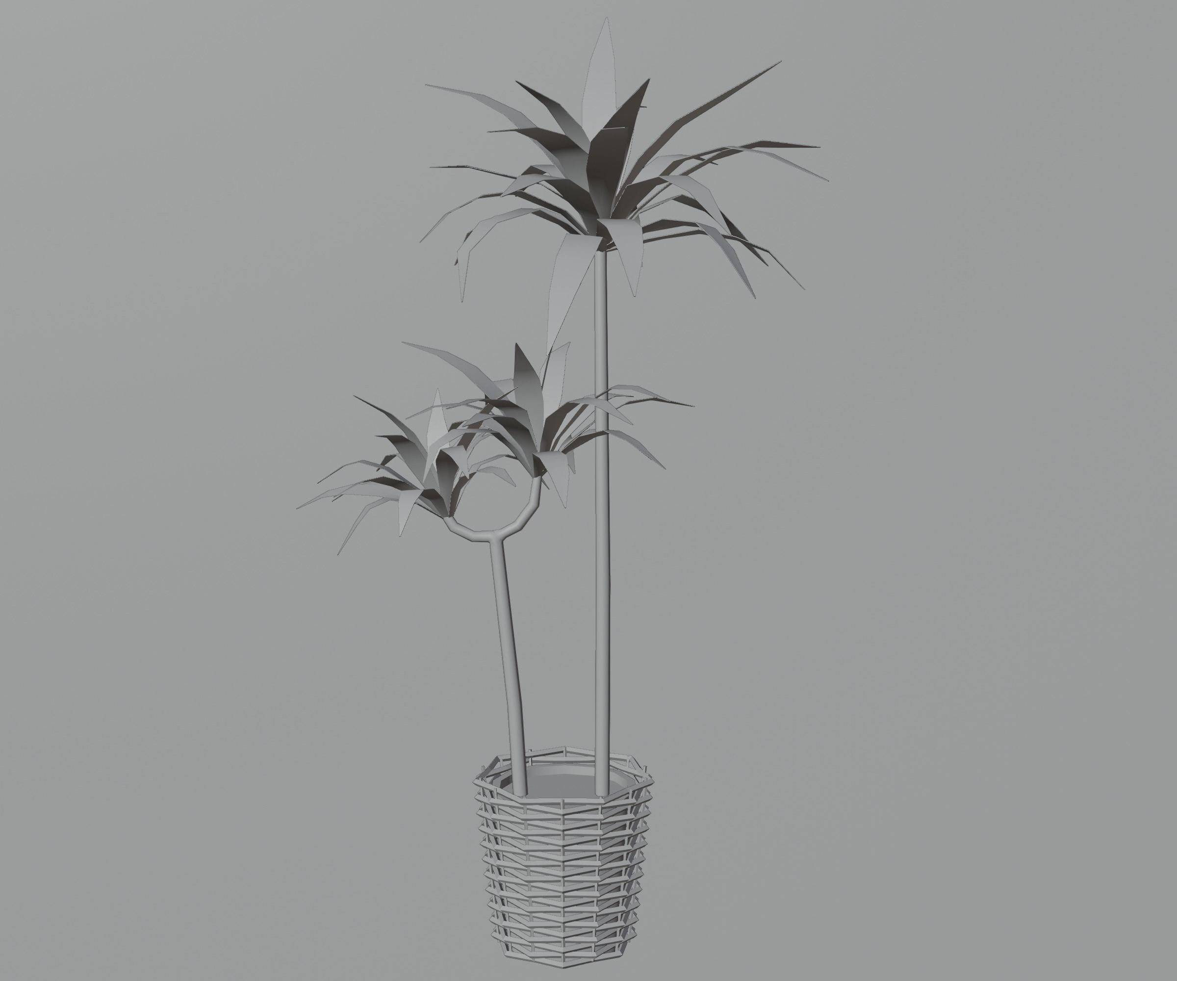 Indoor plants Low-poly 3D model_3
