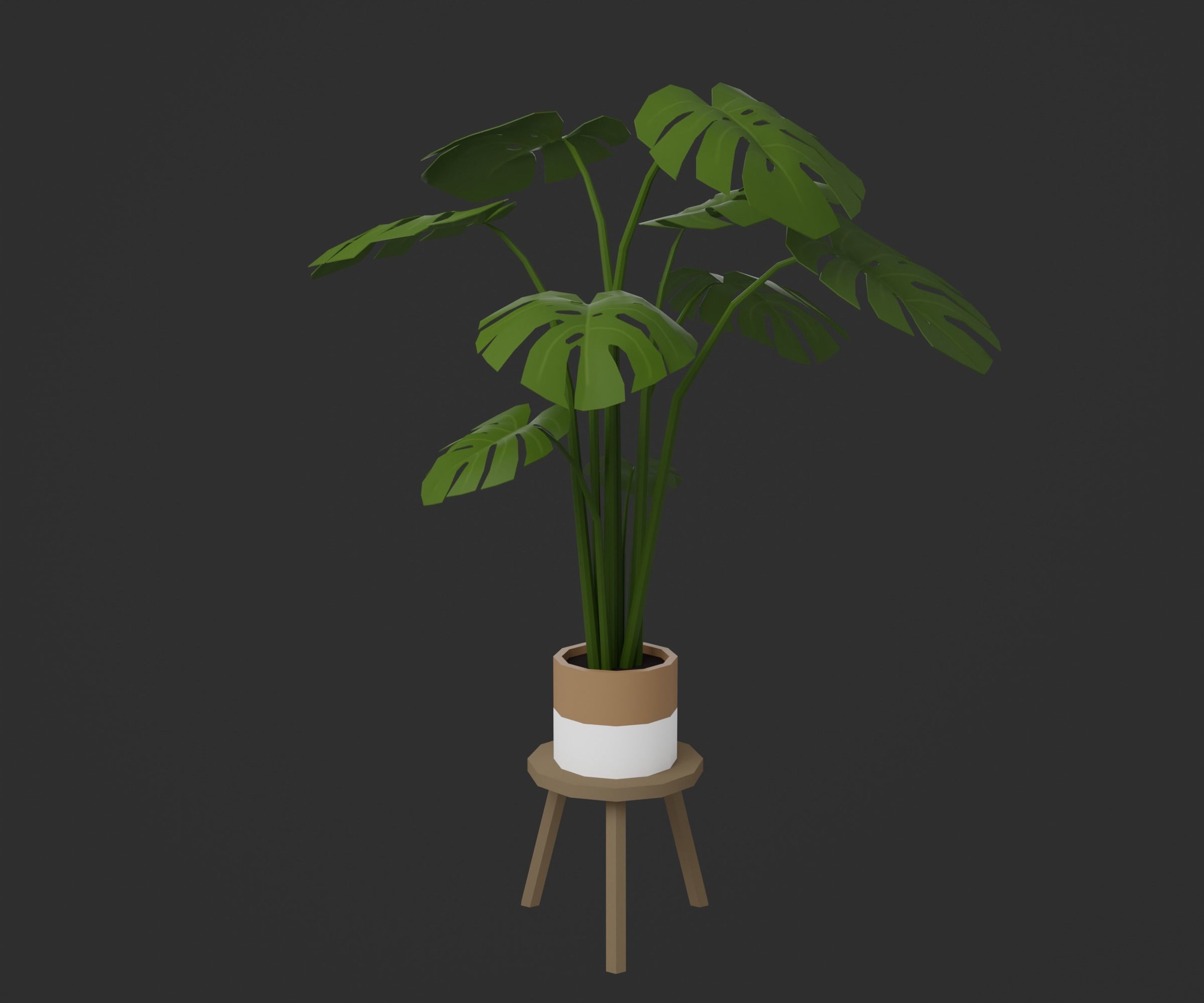 Indoor plants Low-poly 3D model_26