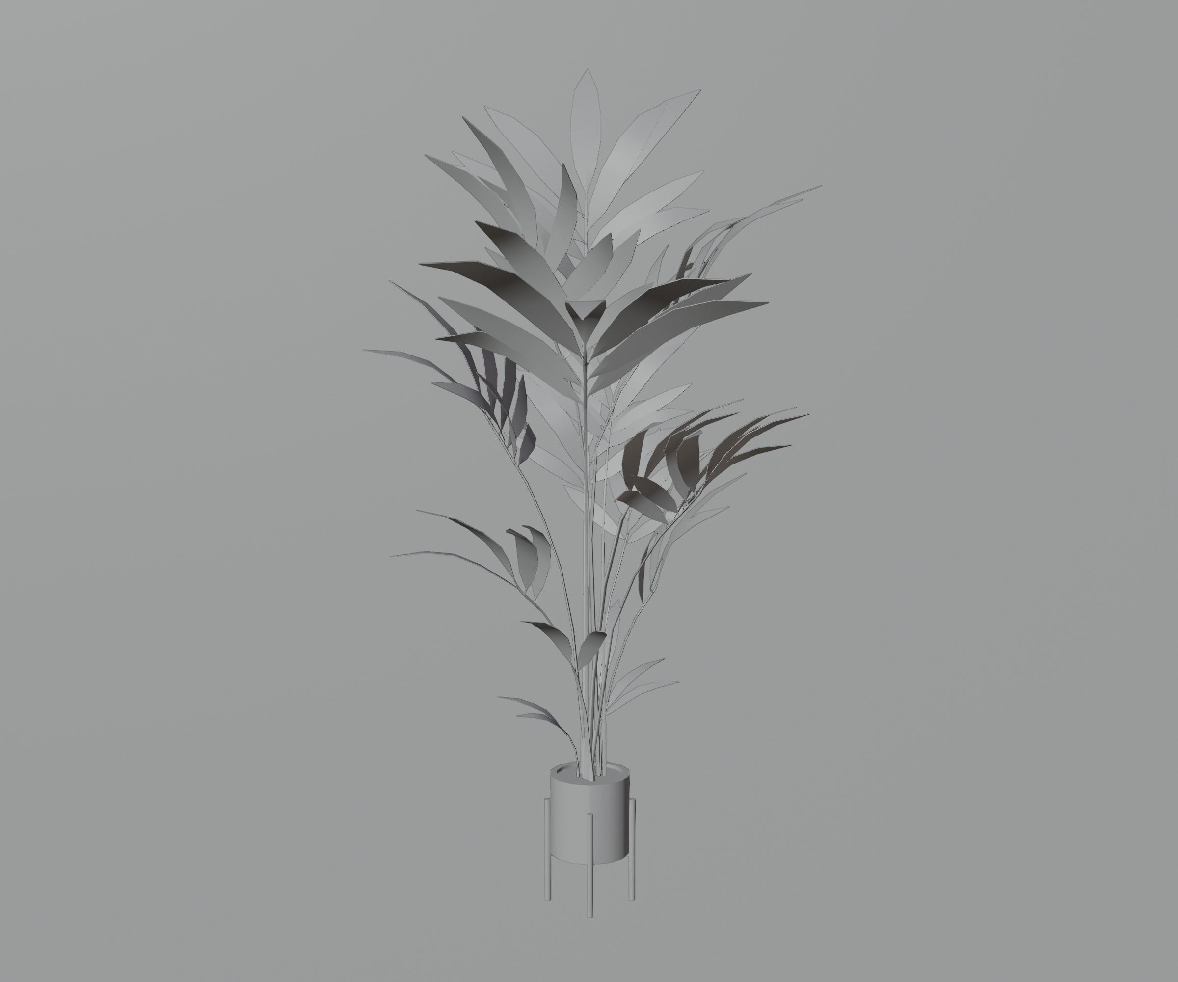 Indoor plants Low-poly 3D model_6