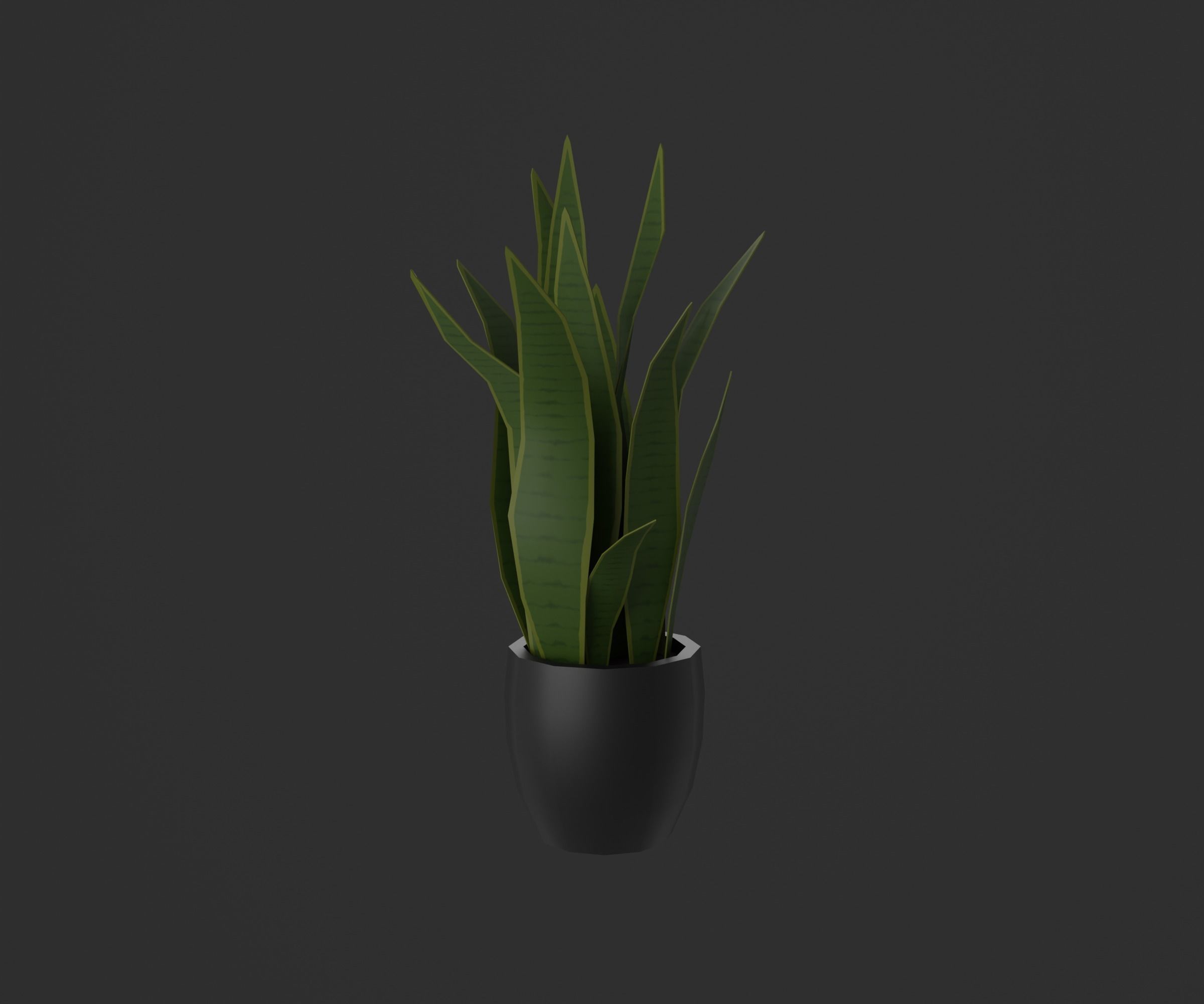 Indoor plants Low-poly 3D model_8