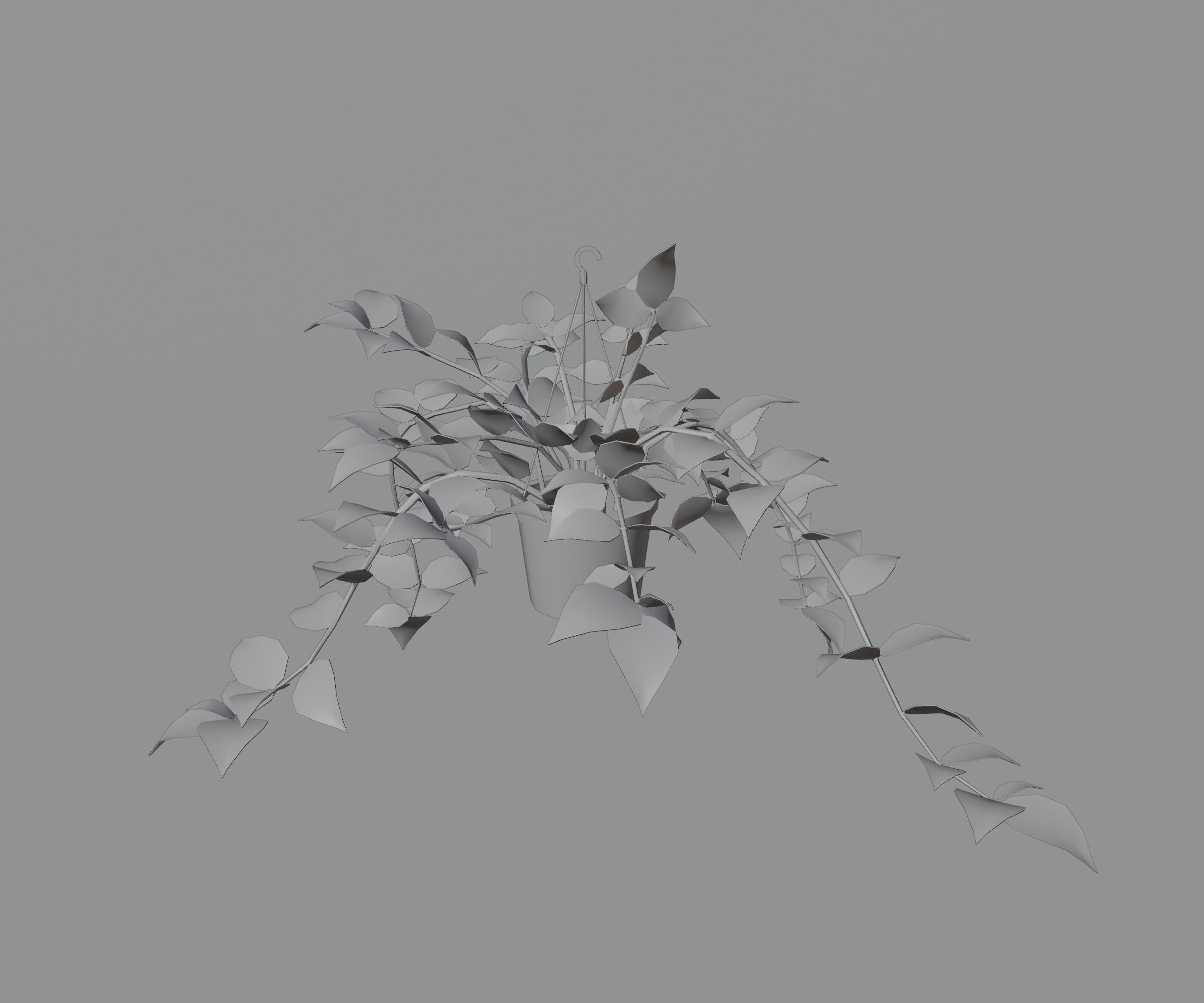 Indoor plants Low-poly 3D model_24