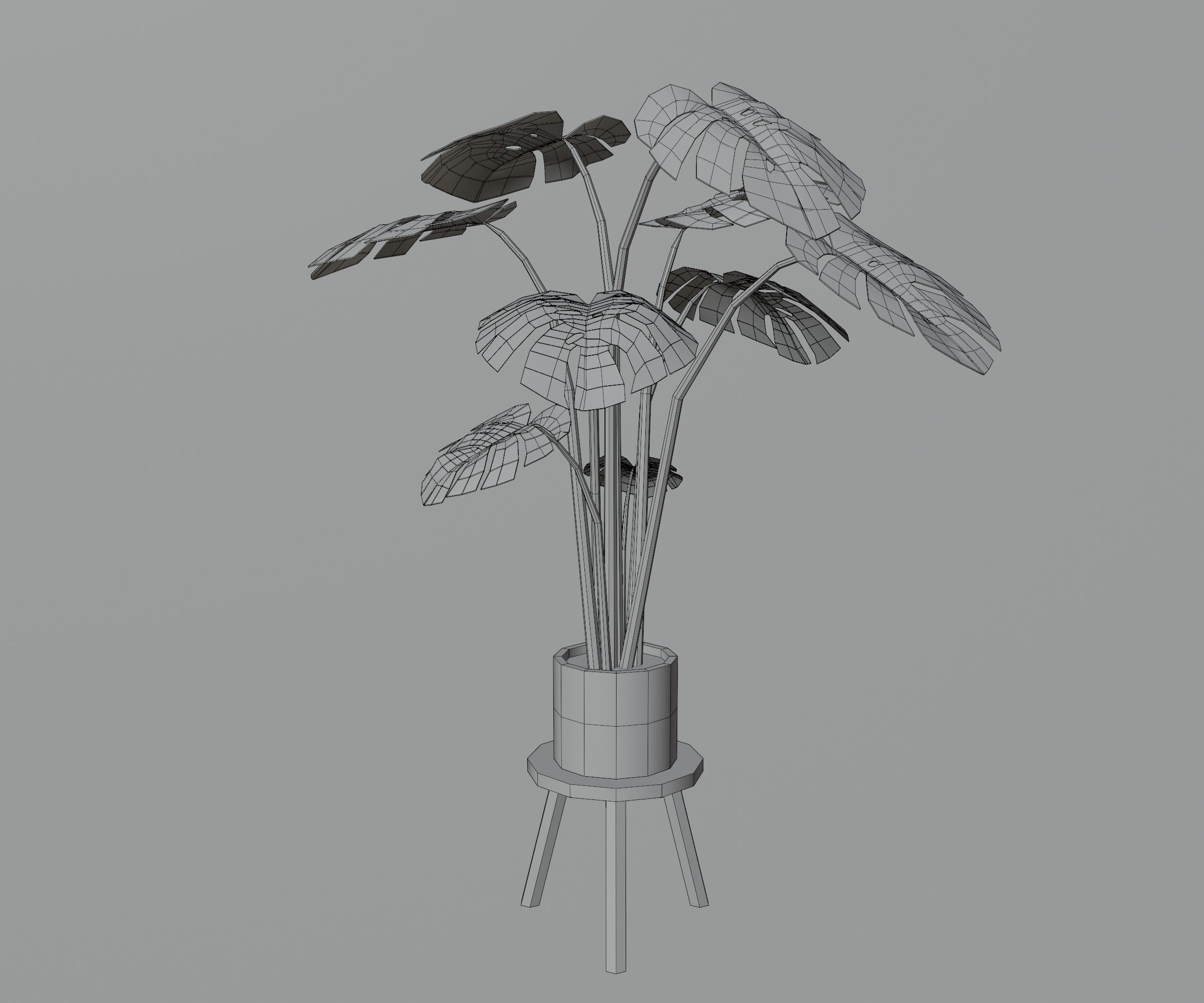 Indoor plants Low-poly 3D model_28