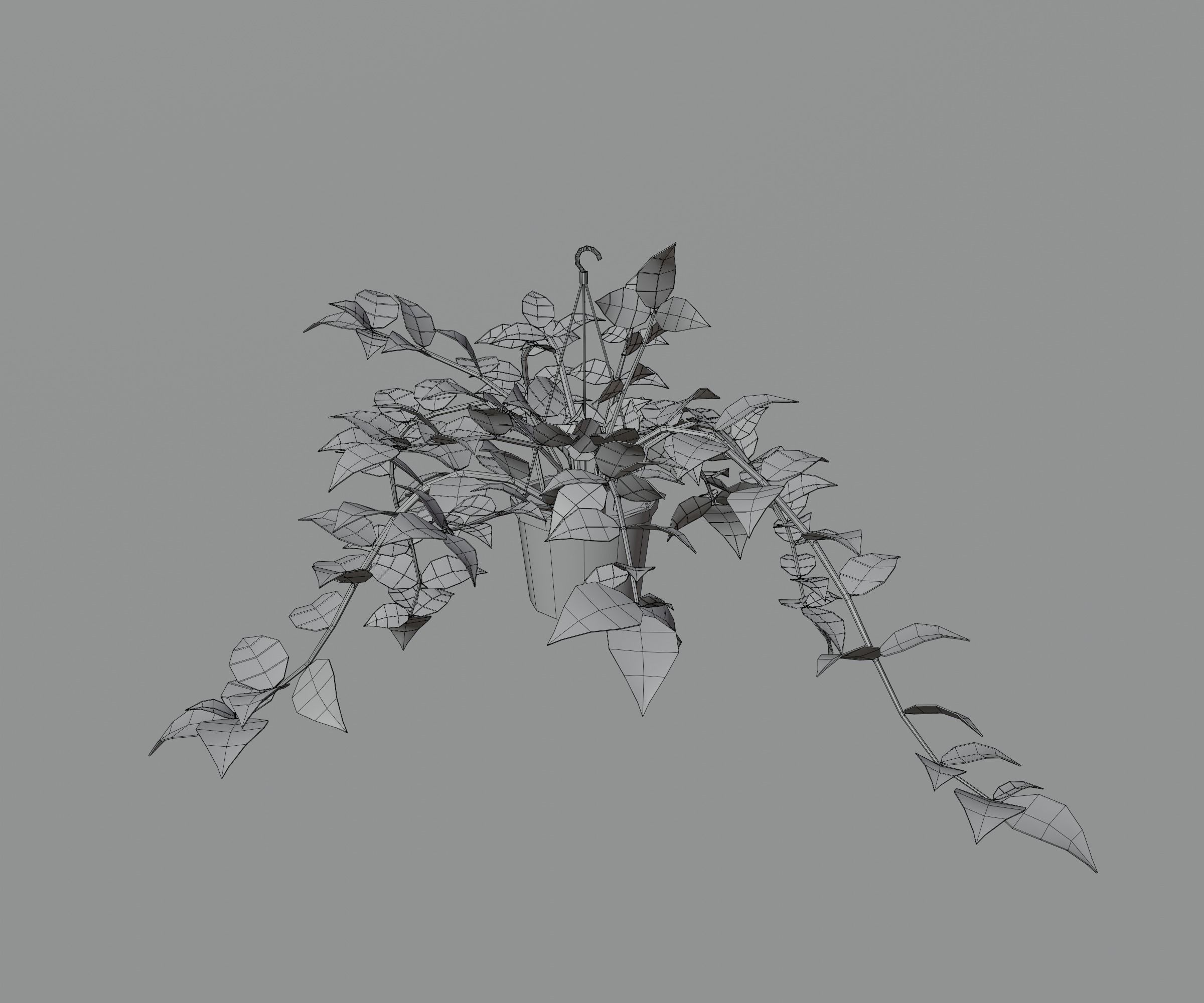 Indoor plants Low-poly 3D model_25