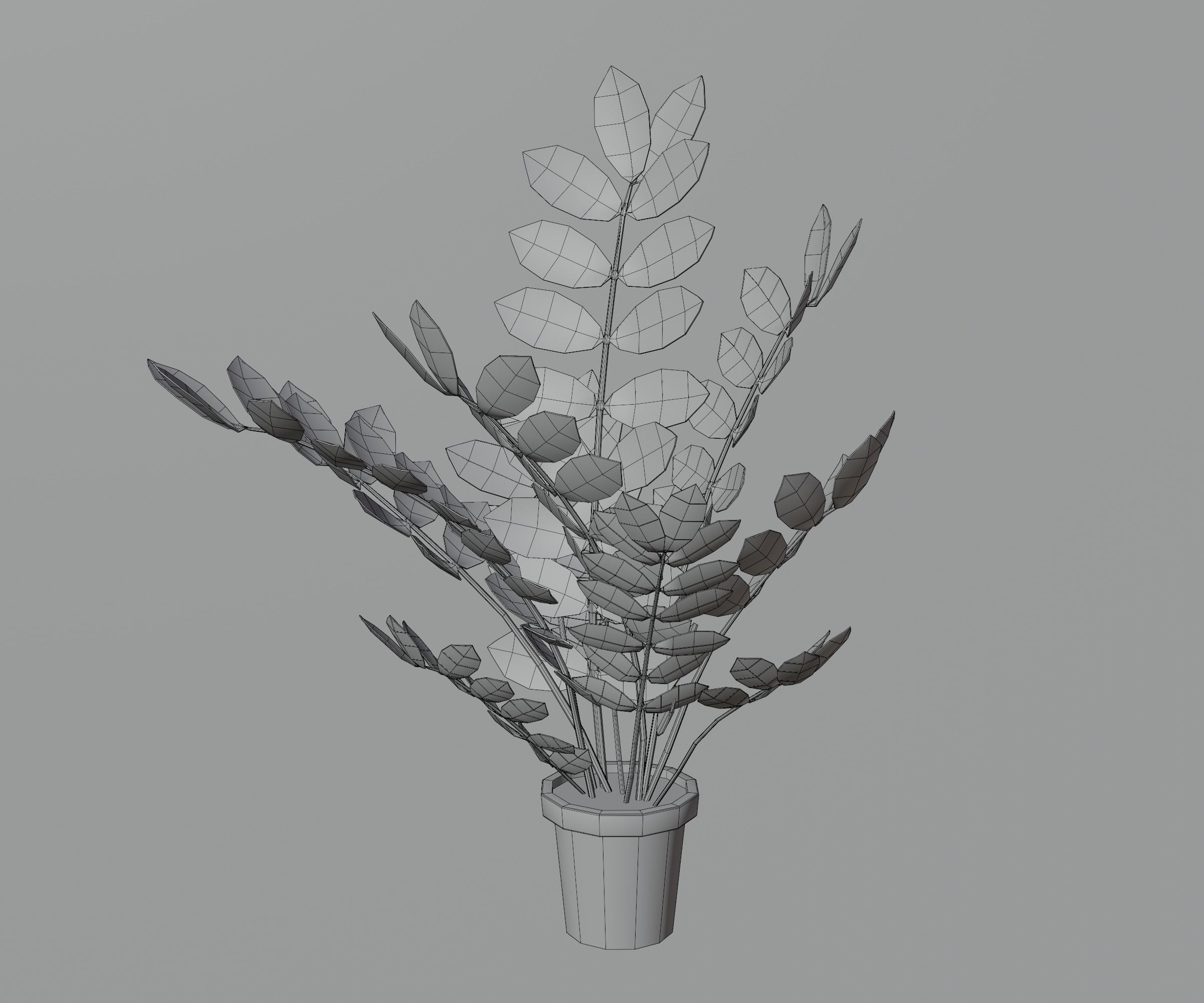 Indoor plants Low-poly 3D model_22