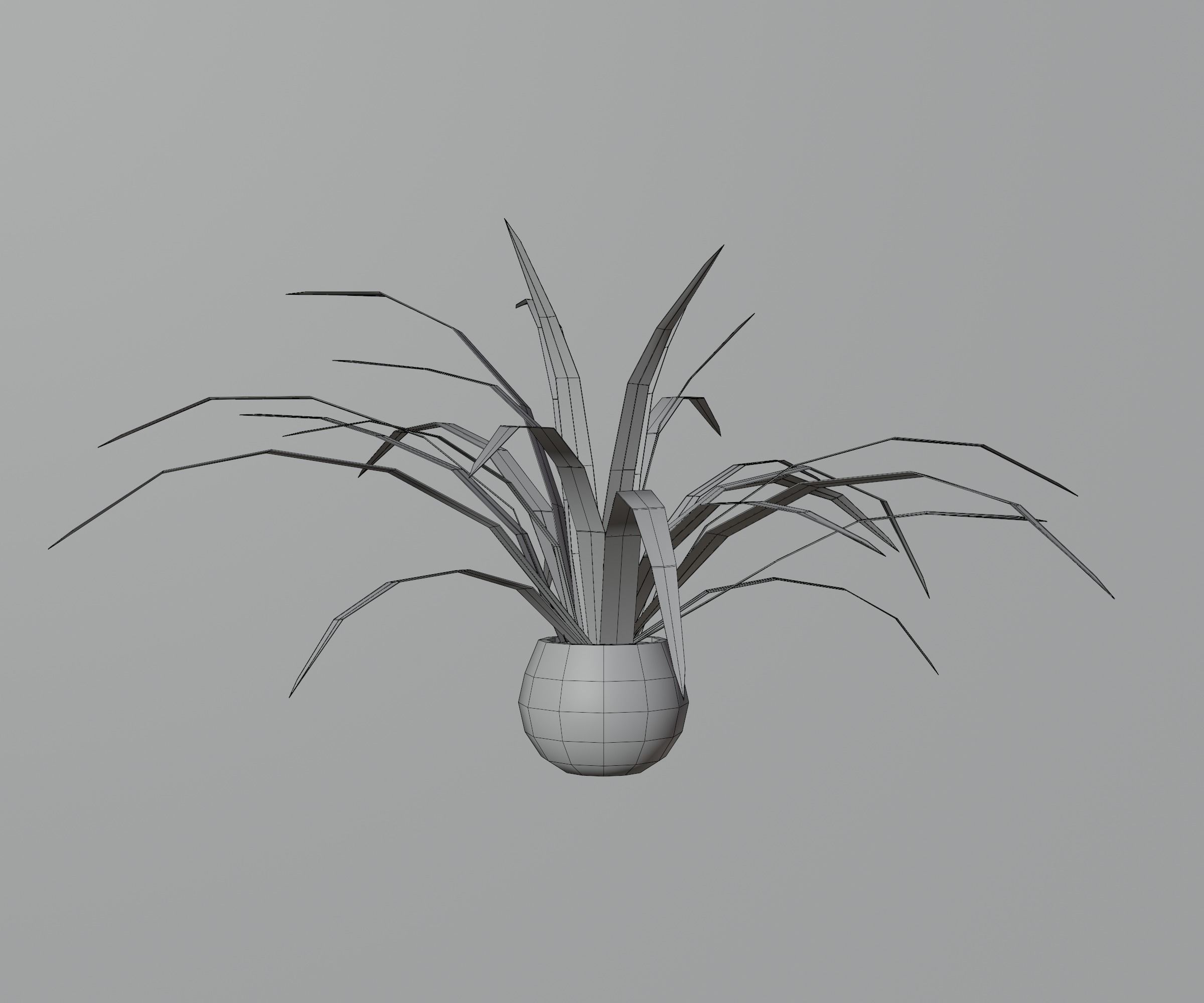 Indoor plants Low-poly 3D model_13