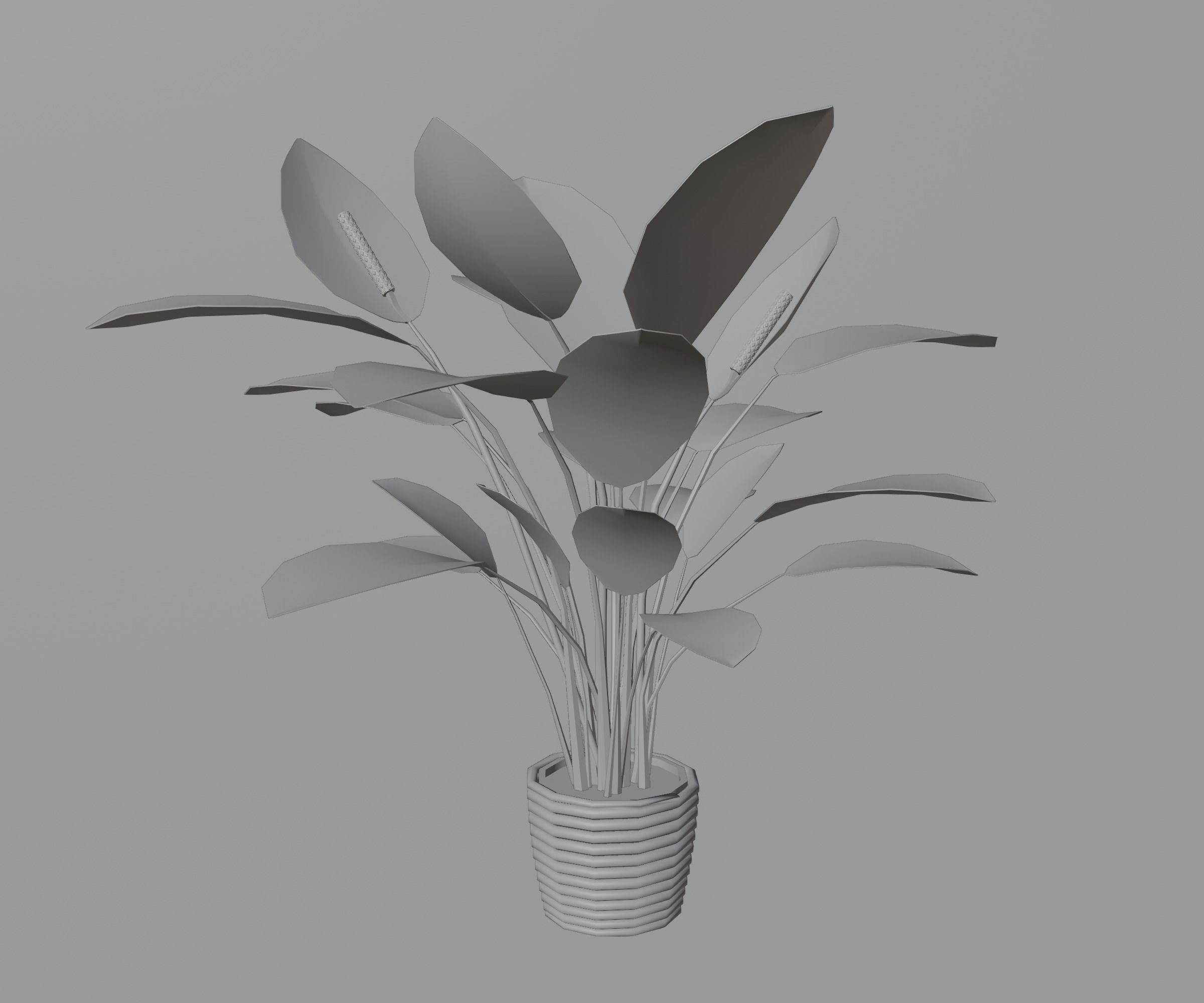 Indoor plants Low-poly 3D model_18