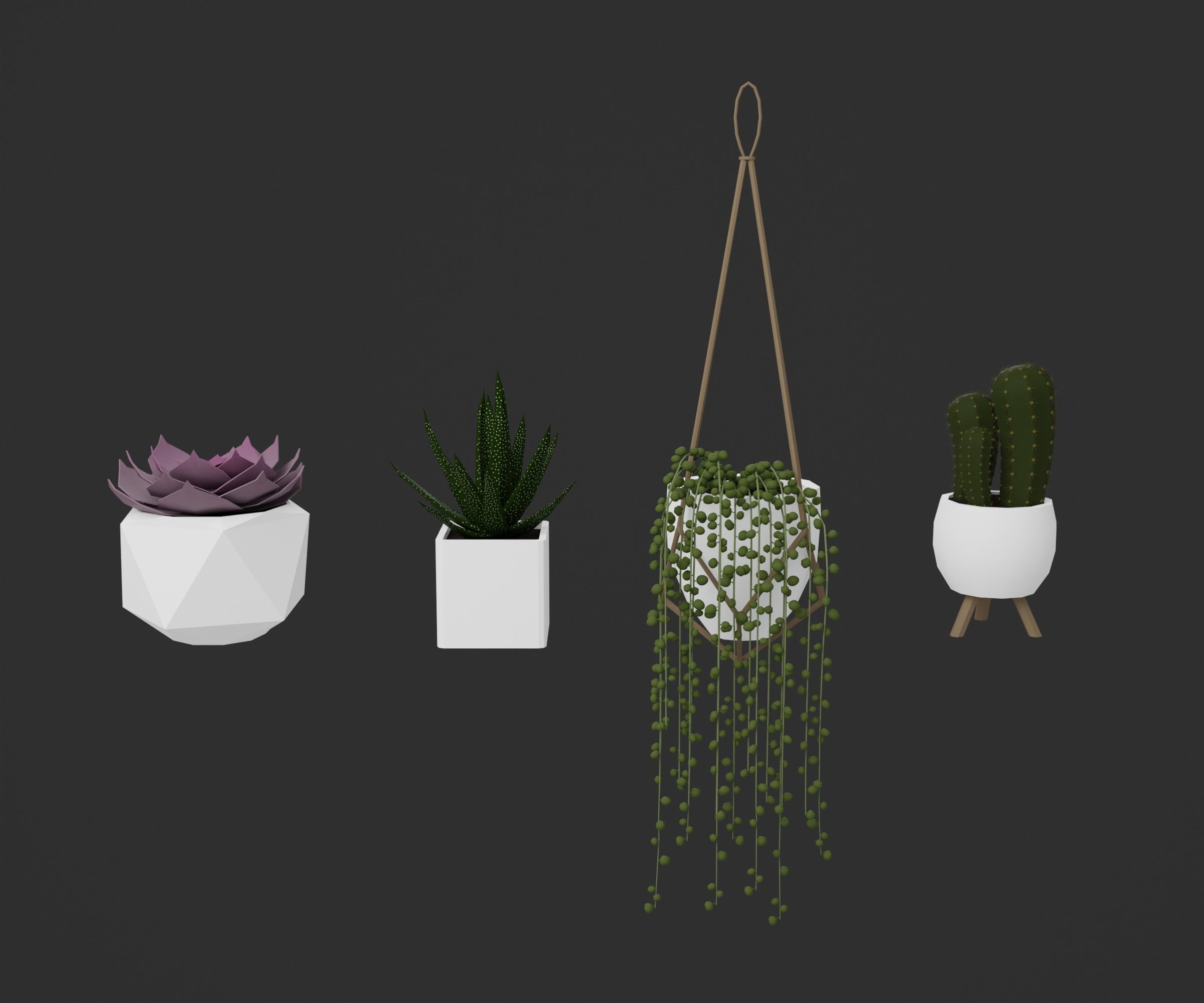 Indoor plants Low-poly 3D model_29