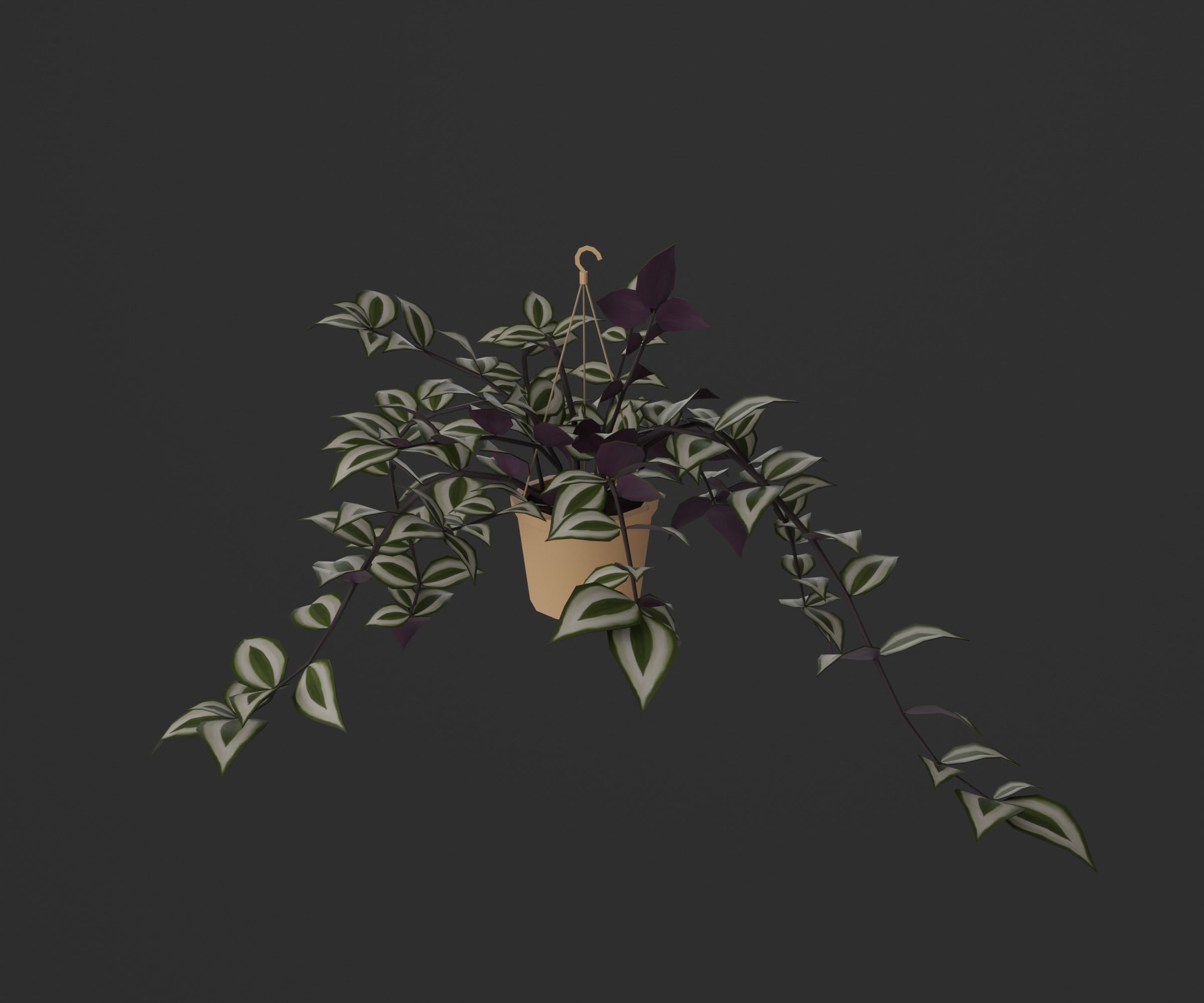 Indoor plants Low-poly 3D model_23