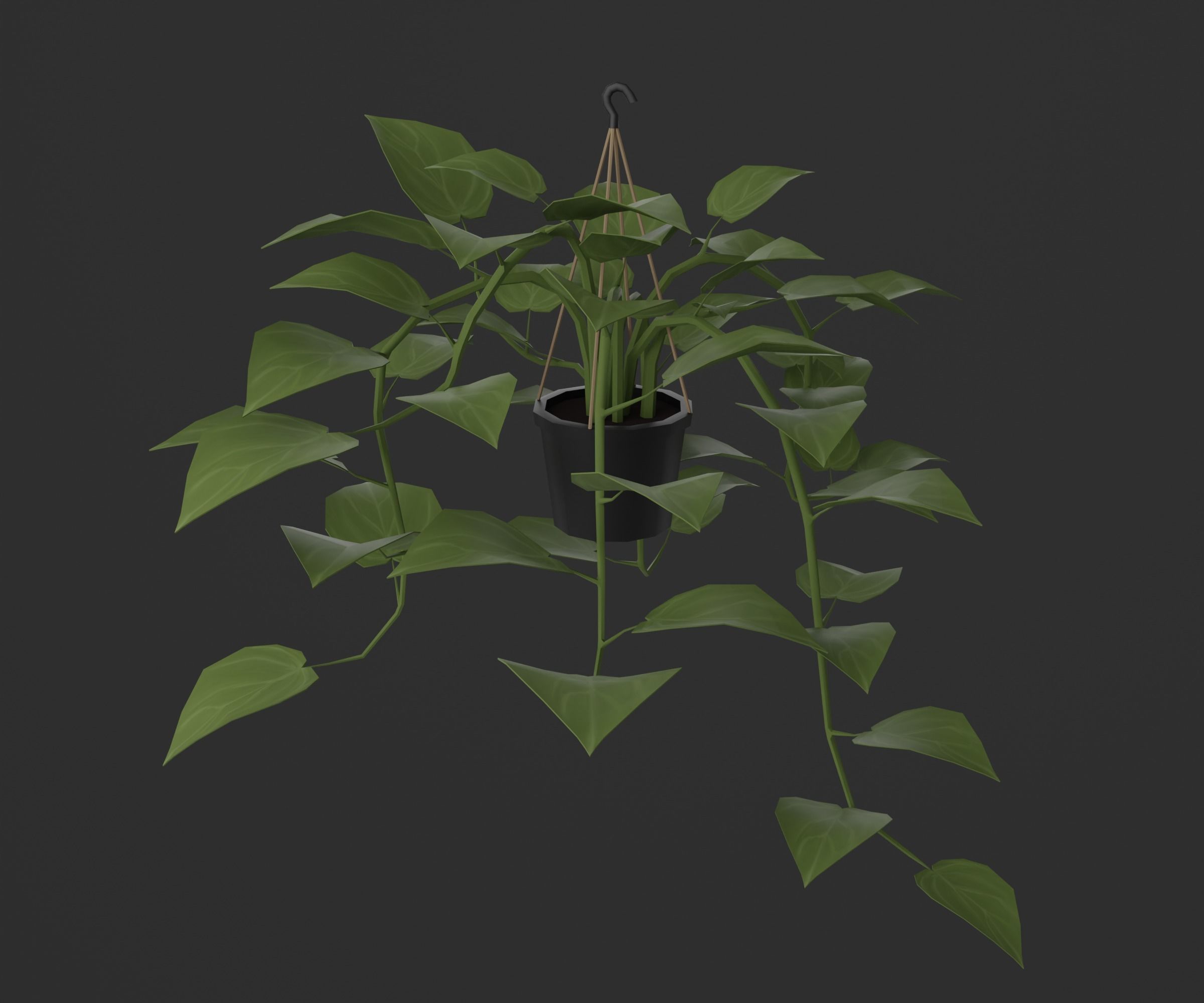 Indoor plants Low-poly 3D model_14