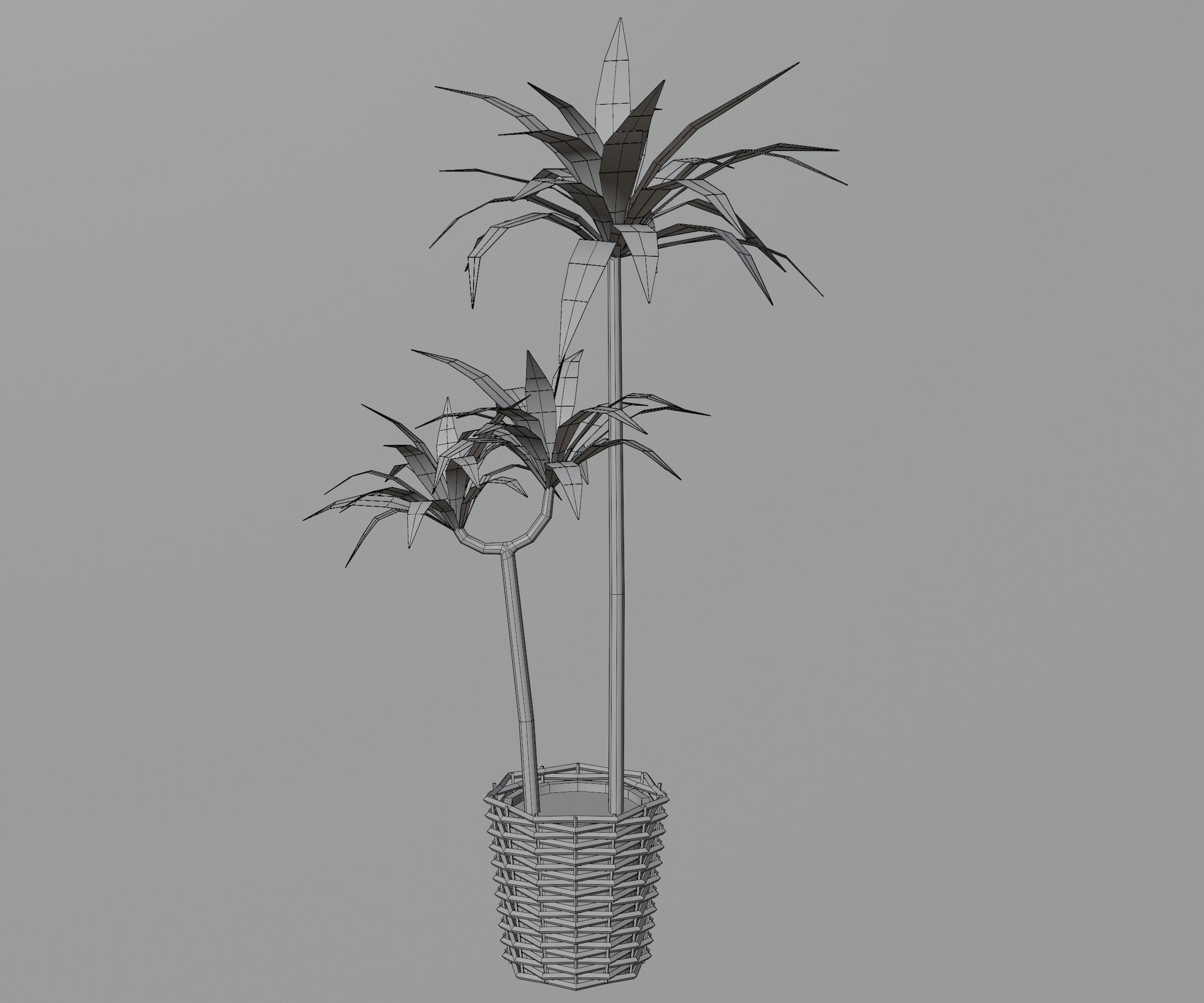 Indoor plants Low-poly 3D model_4