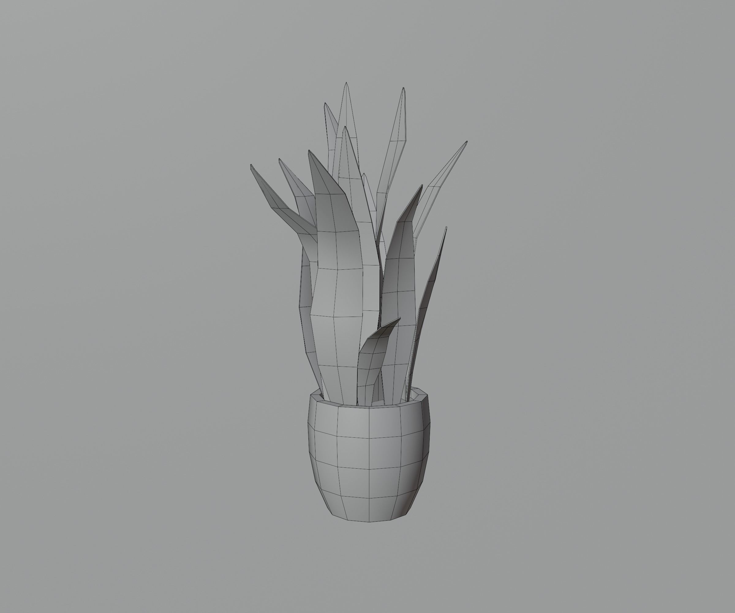 Indoor plants Low-poly 3D model_10
