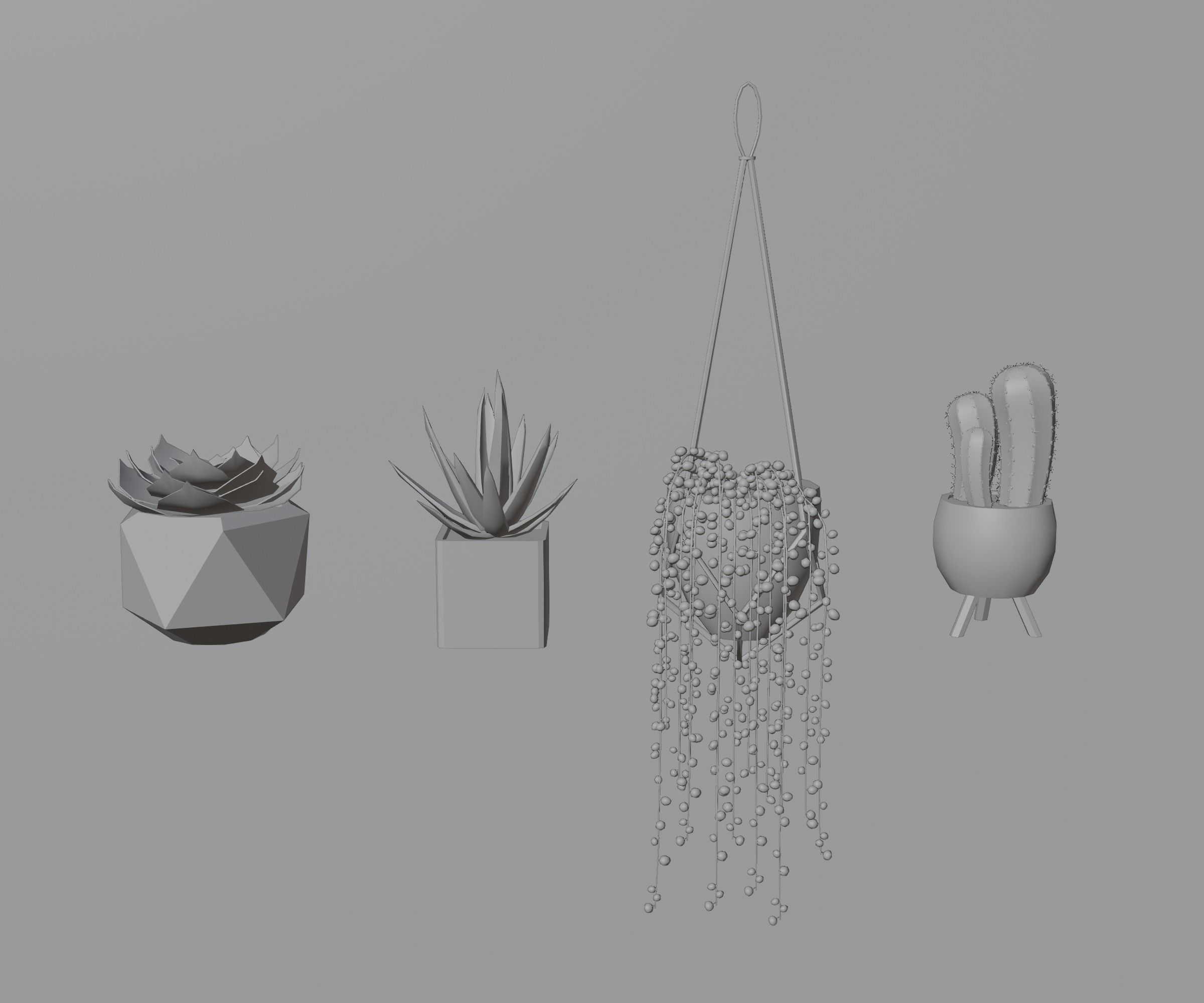 Indoor plants Low-poly 3D model_30